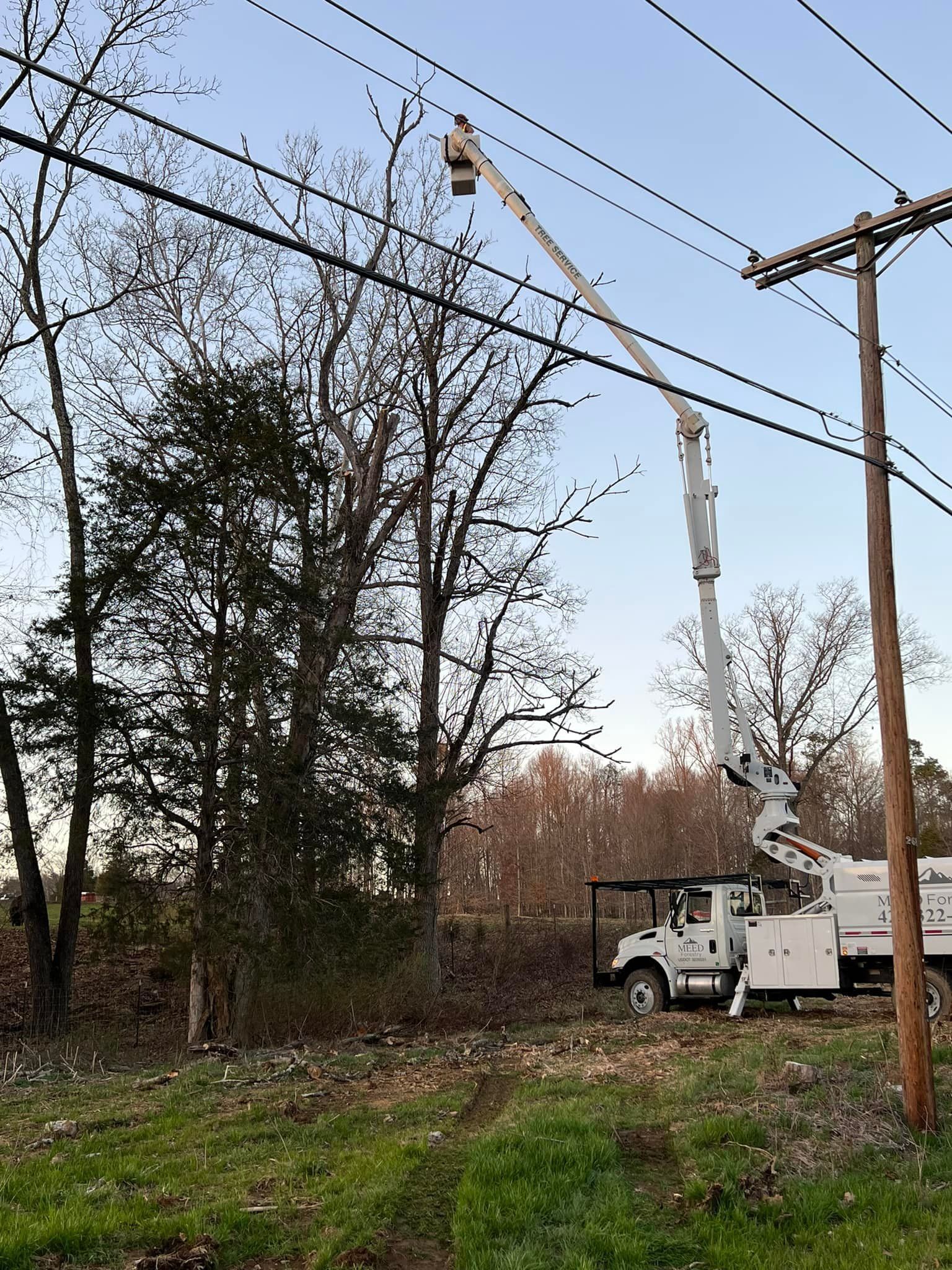 A utility bucket truck reaches up toward power lines near trees in a rural setting.