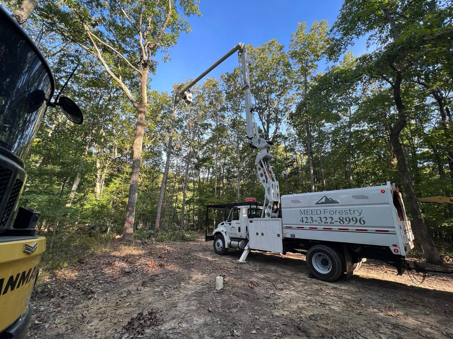 A white utility truck with an extended boom arm raised toward trees in a wooded area.