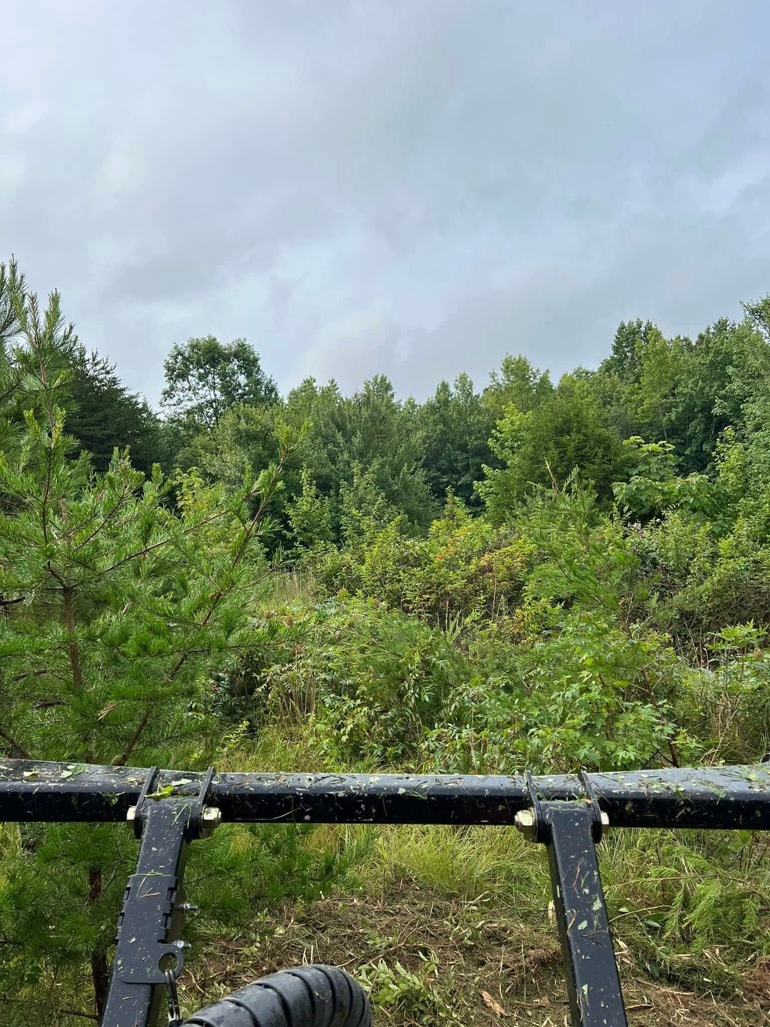 A close-up view from inside a tractor cab, looking out at a dense green forest and brush under a cloudy sky.