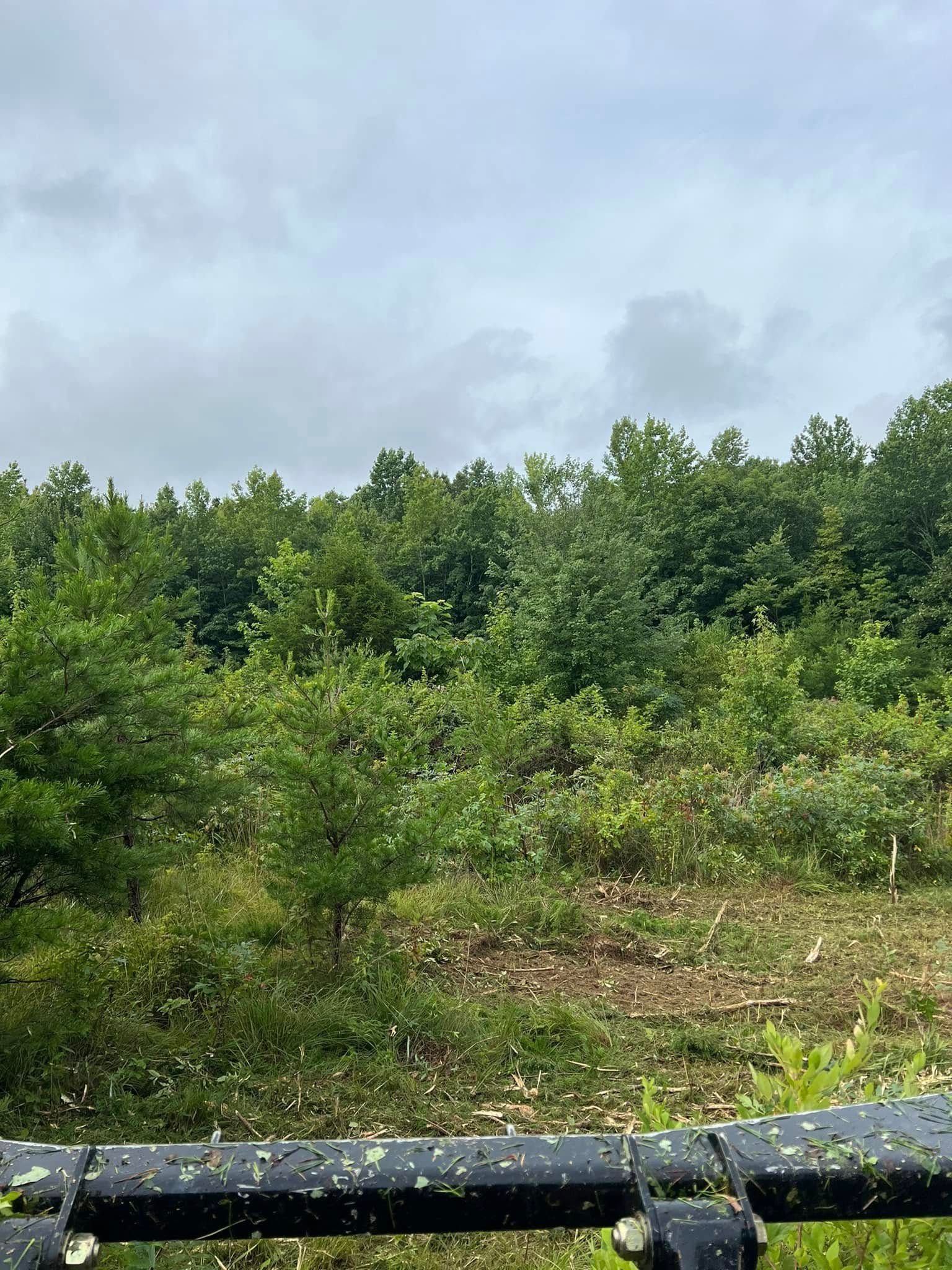 A view looking over the metal attachment of heavy machinery at a clearing with cut brush and a dense forest background.