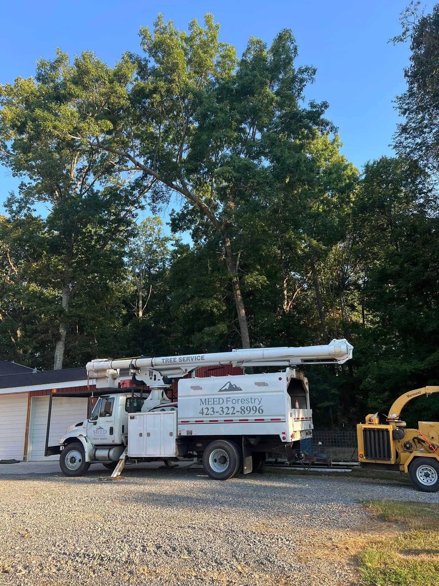 A white bucket truck and a yellow wood chipper parked on a gravel lot in front of dense green trees.