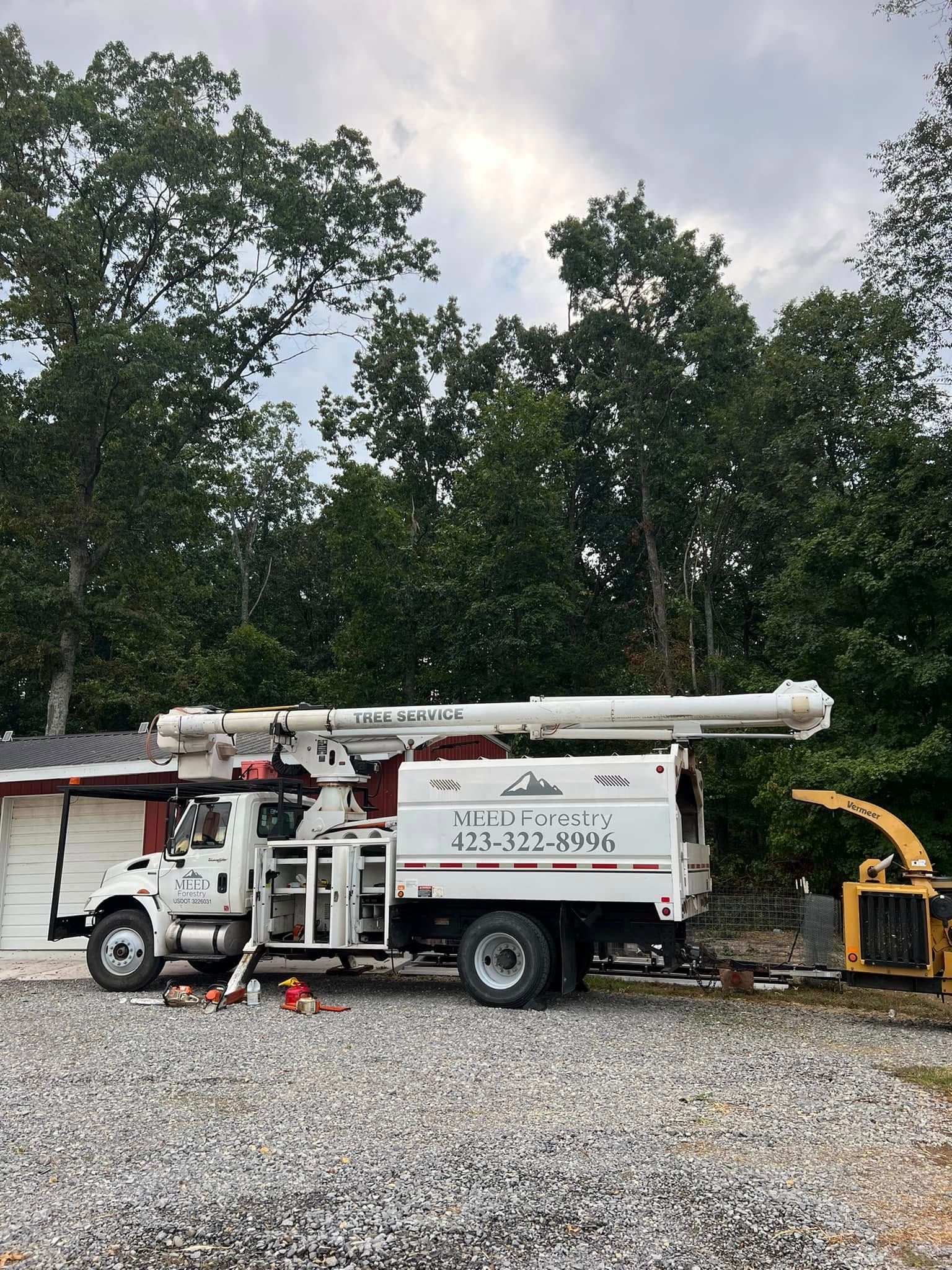 A white bucket truck for tree services parked on a gravel lot in front of a line of trees.