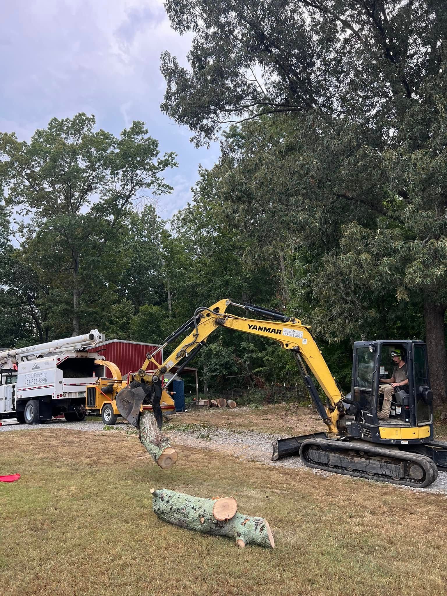 A yellow excavator with a thumb attachment lifts a log toward a wood chipper on a grassy lot near a white utility truck.