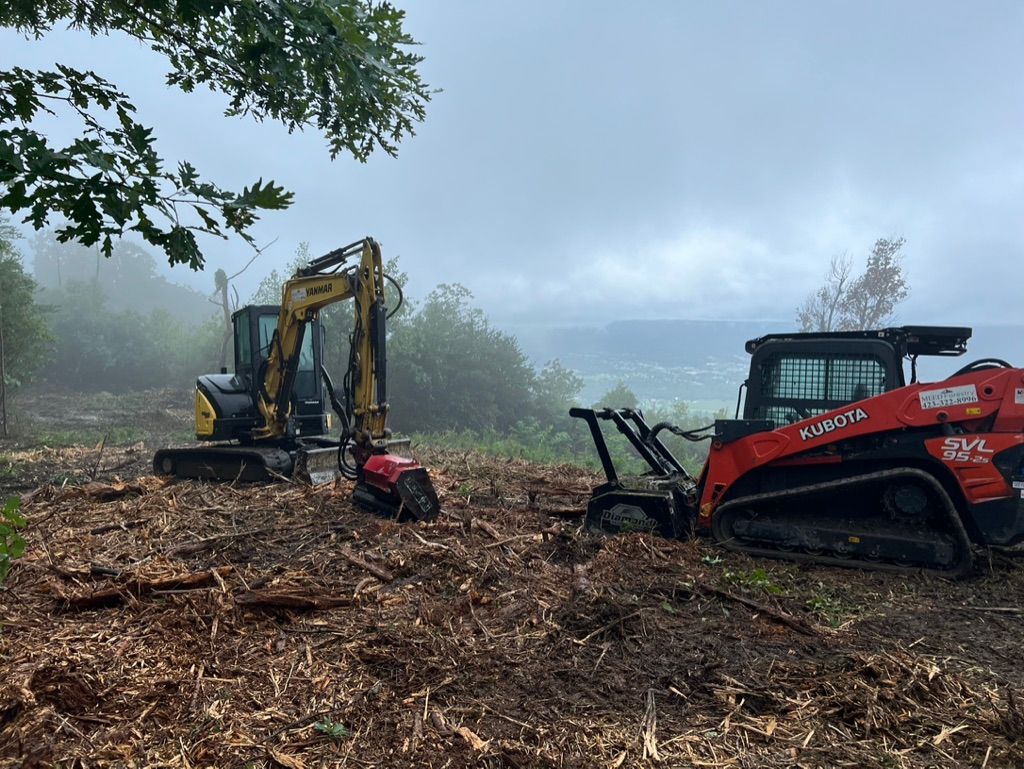 A yellow excavator and an orange skid steer parked in a clearing with freshly cleared brush on a foggy, overcast day.