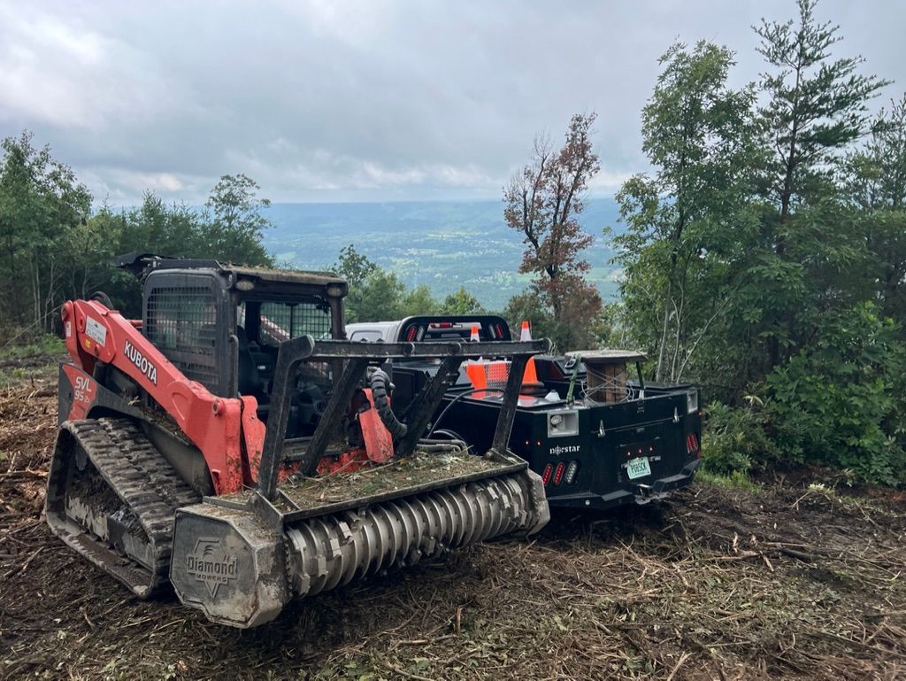 An orange tracked skid steer with a forestry mulcher attachment parked on a wooded hillside overlooking a valley.