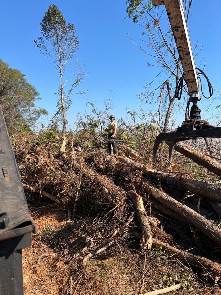 A logger uses a mechanical grapple to move fallen tree trunks in a clearing under a bright blue sky.