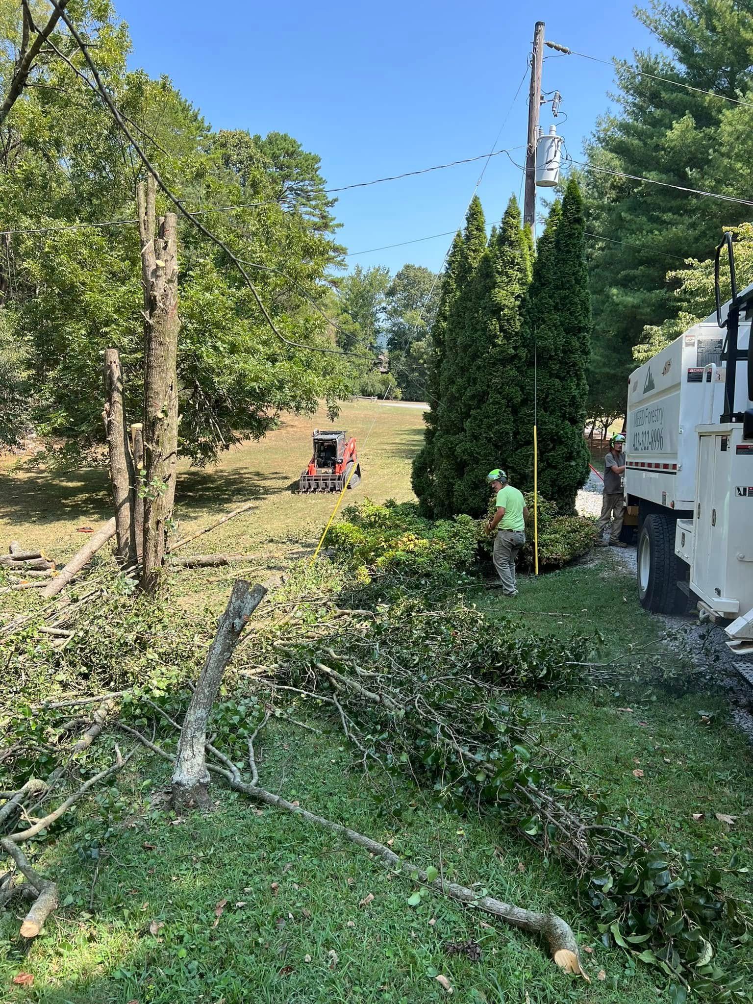 A worker in high-visibility gear clears tree branches near a utility truck on a sunny, grassy residential property.