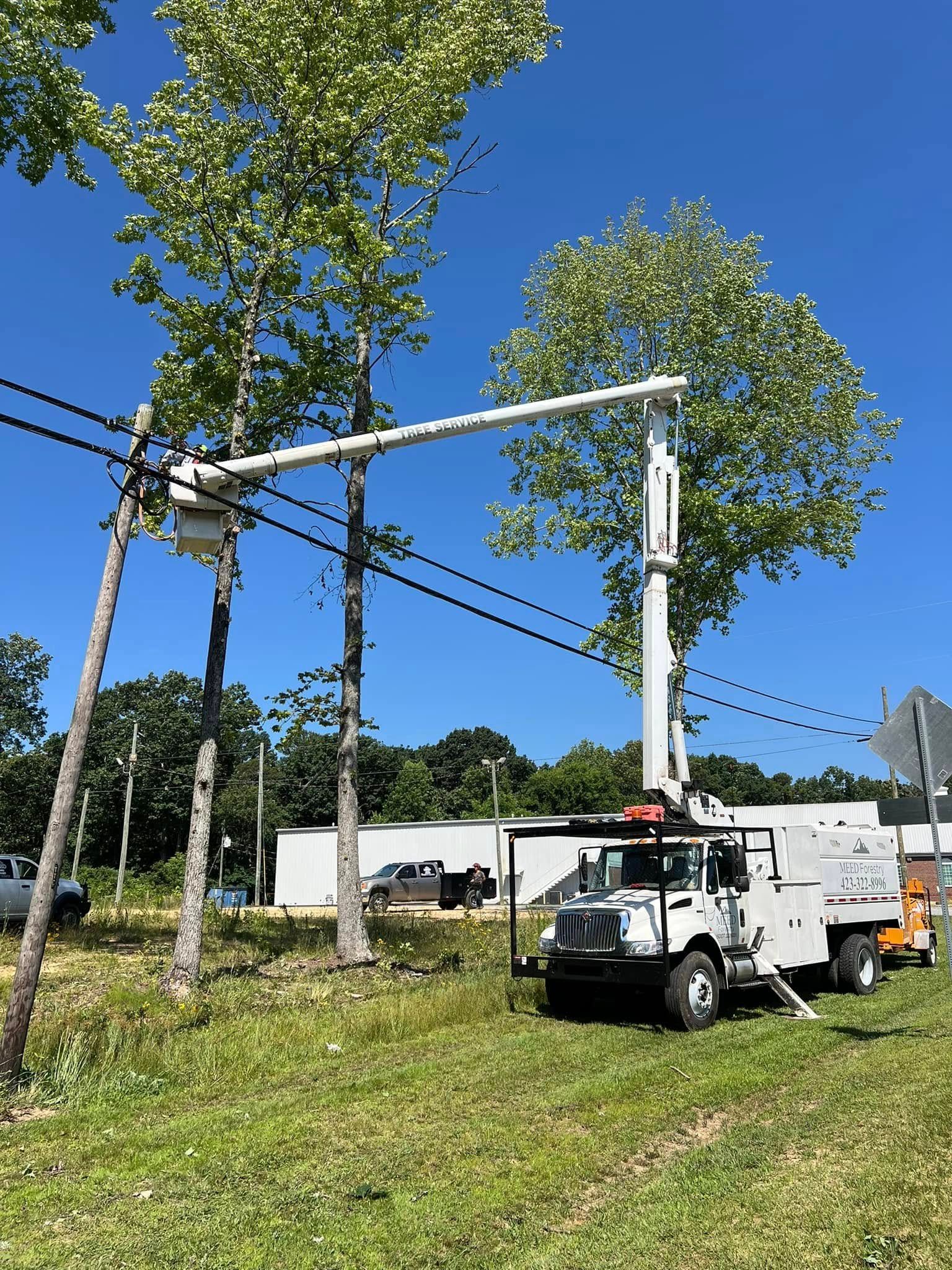 A white utility truck with an extended crane arm lifts a worker to perform maintenance on overhead power lines near trees.