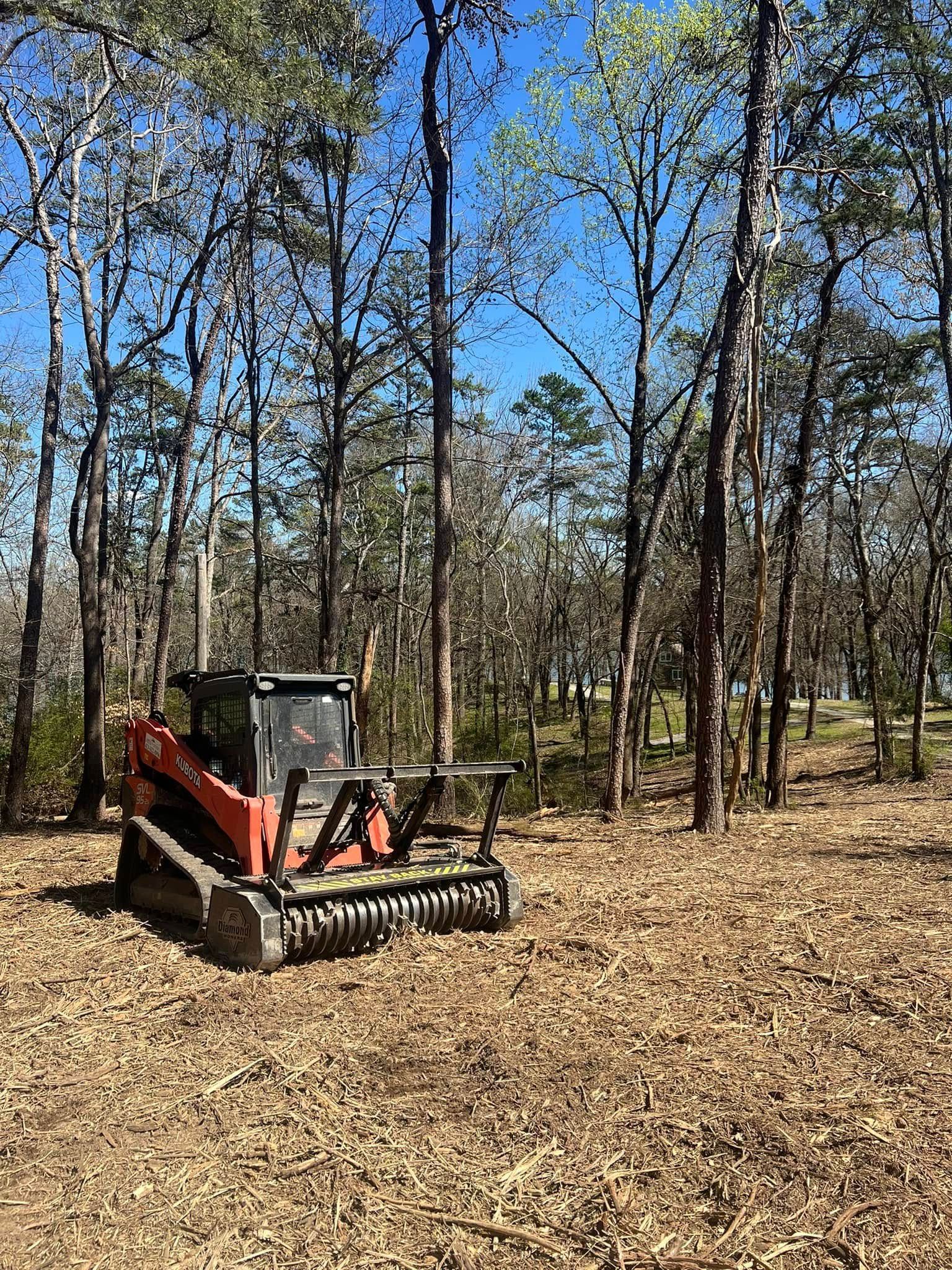 An orange skid-steer loader with a mulcher attachment sits in a cleared, wooded area under a clear blue sky.