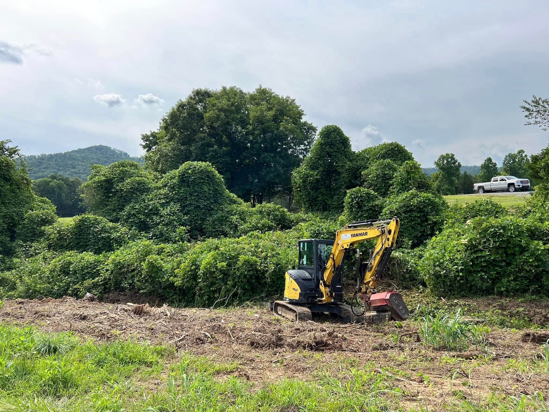 A yellow excavator clears brush and vegetation in a rural field under a partly cloudy sky.