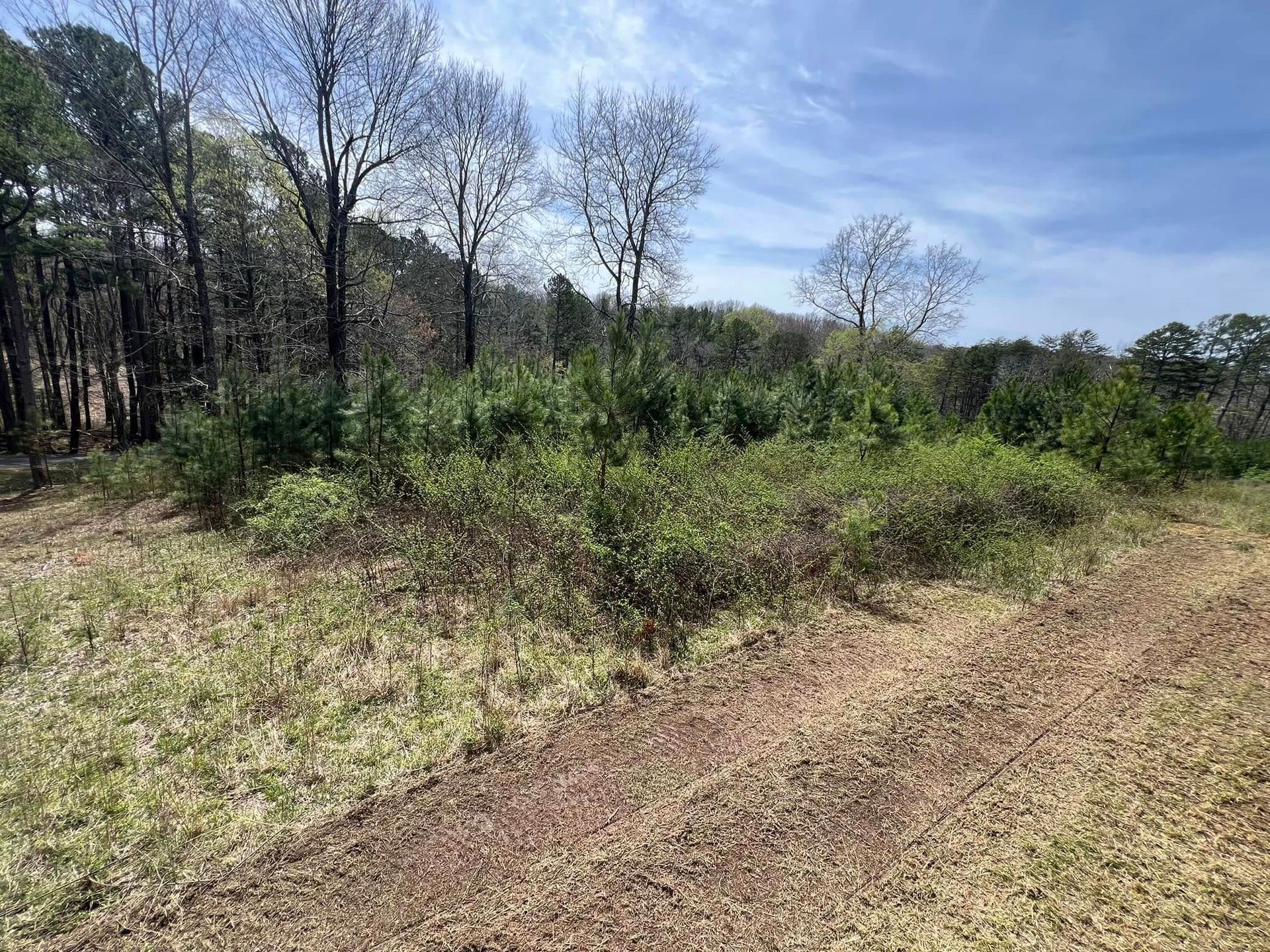 A dirt path borders a grassy field, leading toward a dense line of green shrubs and tall, bare-branched trees under a sky.