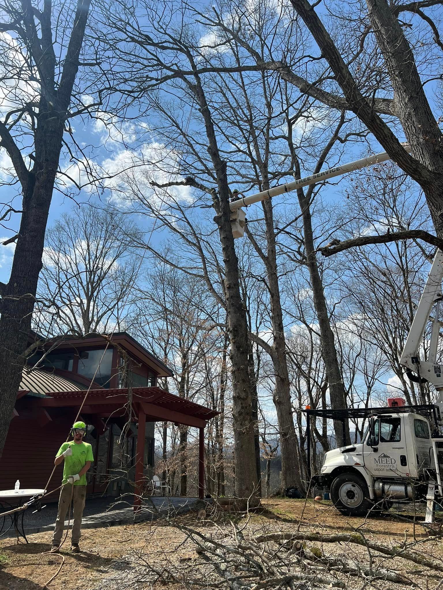A worker in a high-reach bucket trims tree branches near a house, while another worker stands on the ground below.