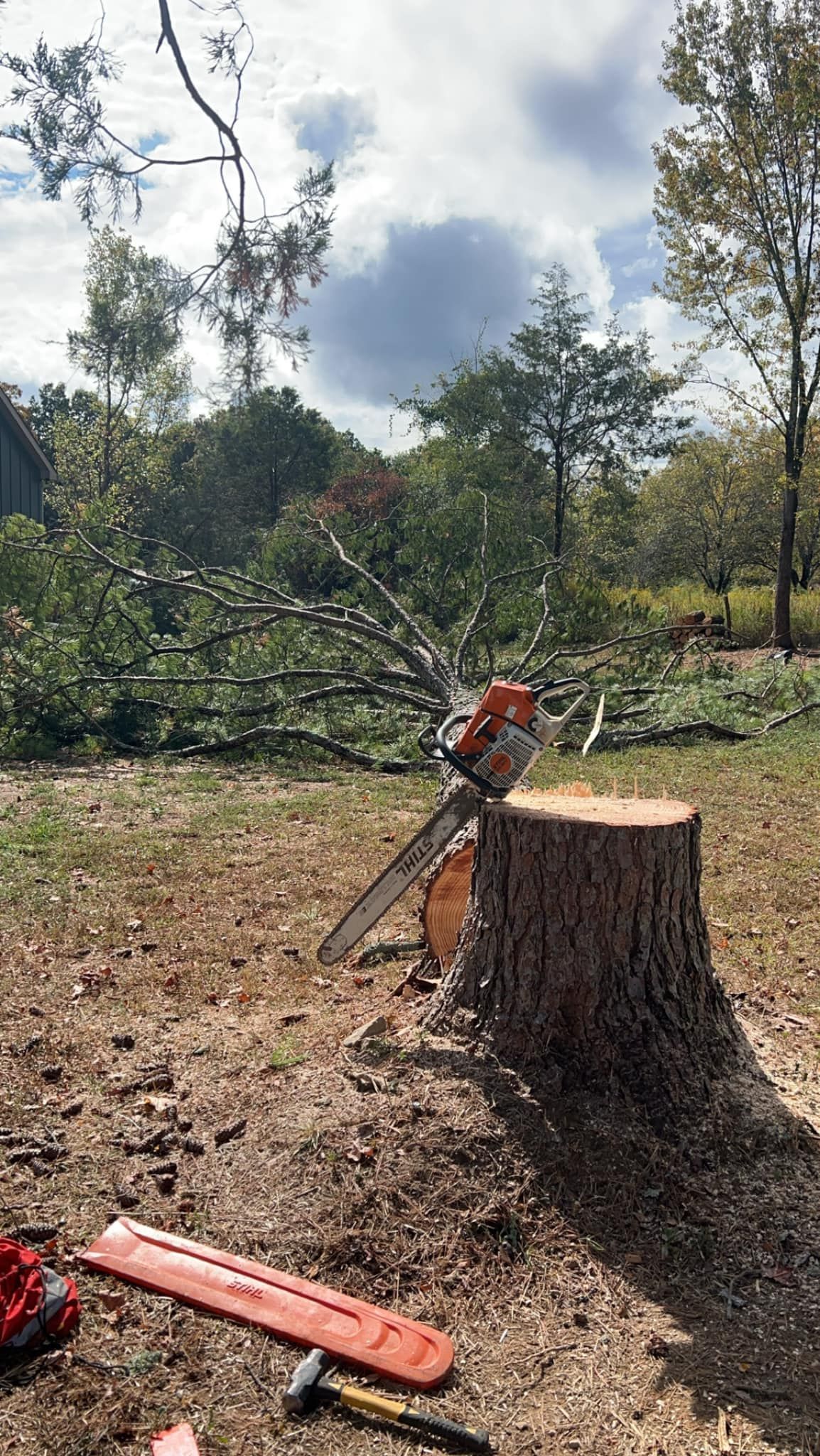 A chainsaw sits leaning against a tree stump in a grassy clearing with a downed tree in the background.