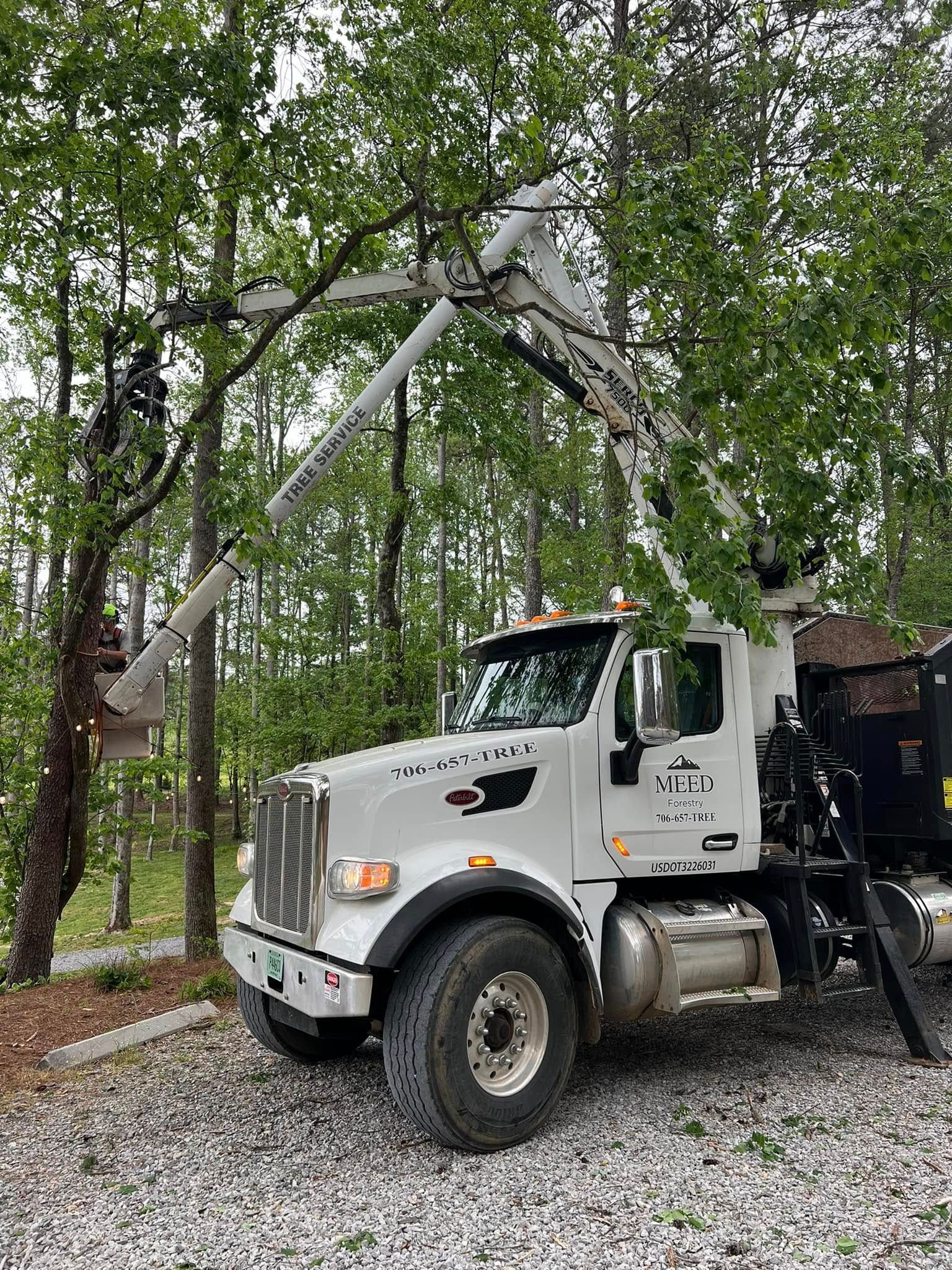 A white bucket truck parked on gravel, with its hydraulic arm extended into the branches of a tree in a wooded area.