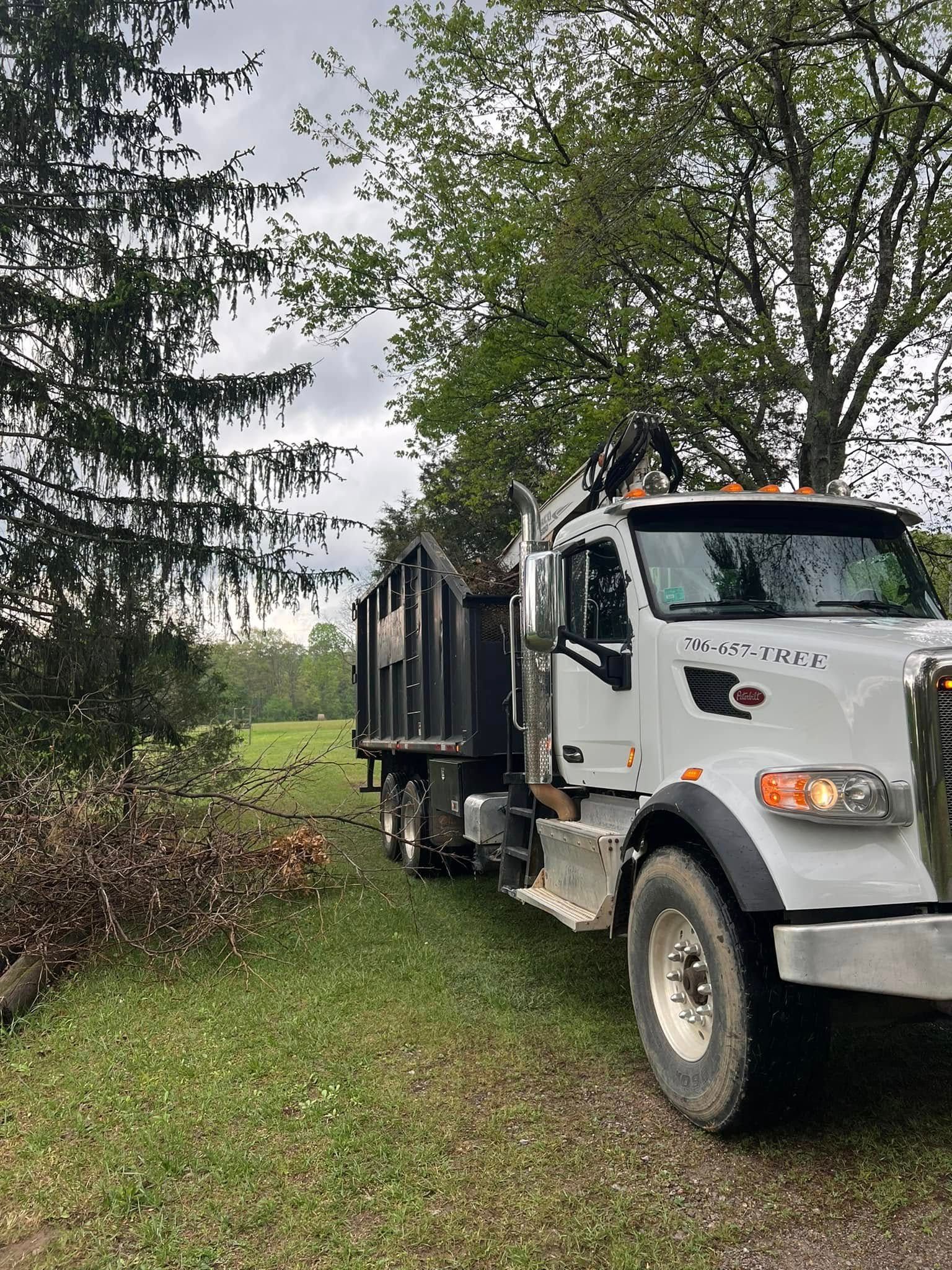 A white Peterbilt dump truck parked on a grassy verge next to trees and brush.