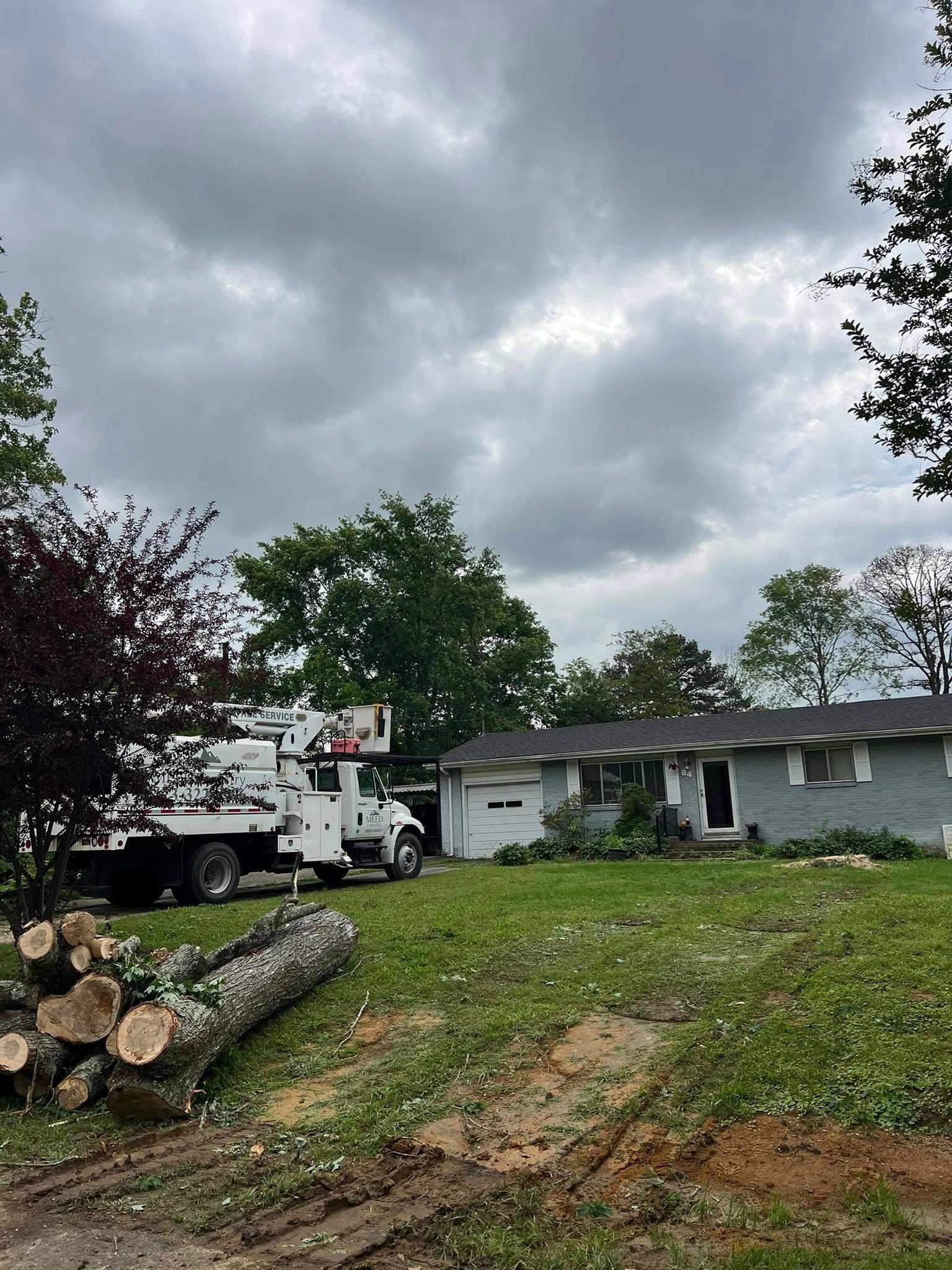 A white tree service truck parked in a residential yard near a gray house under a cloudy sky, with logs in the foreground.