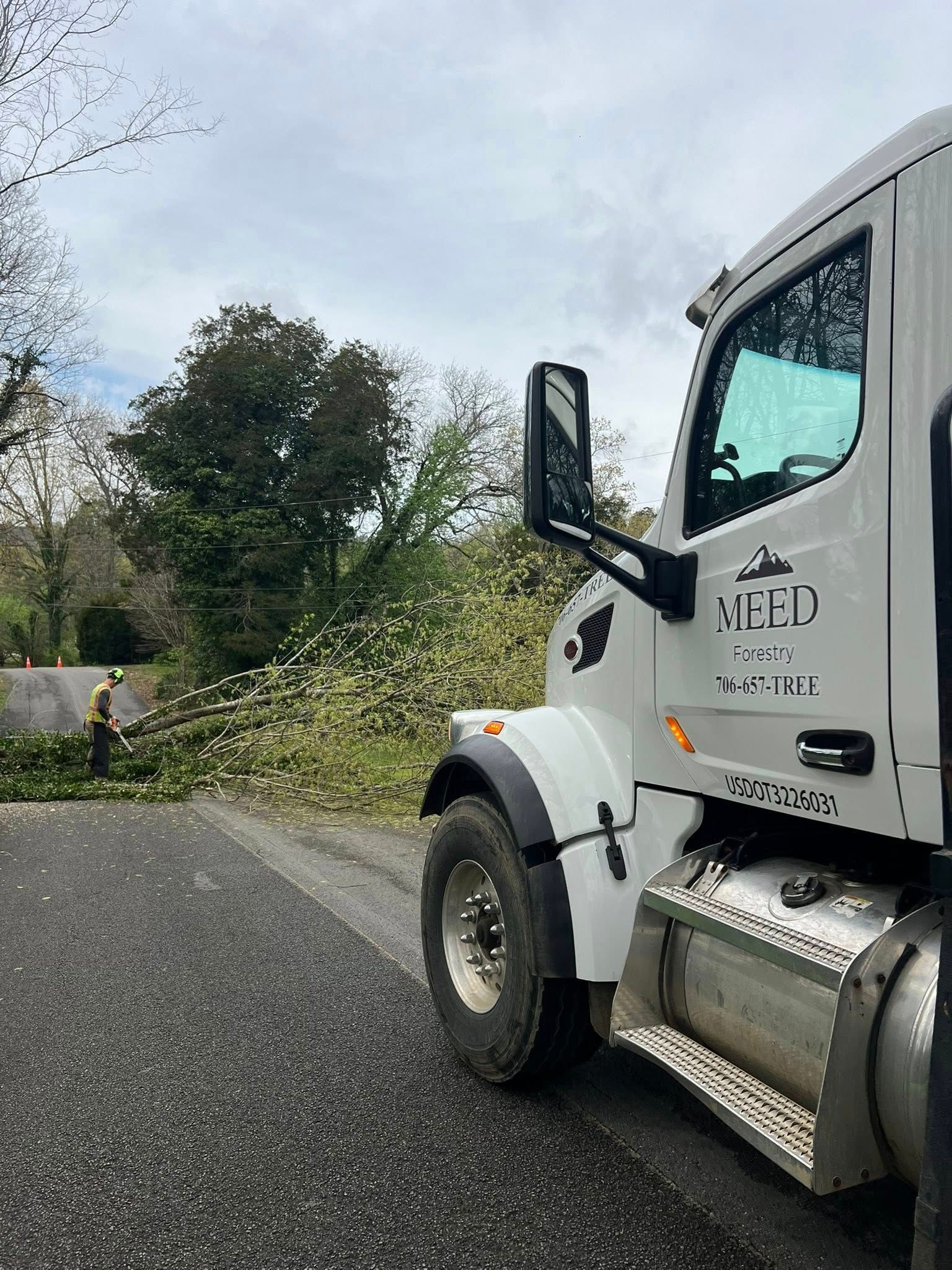 A white service truck parked on the side of a road near a worker clearing fallen tree branches.
