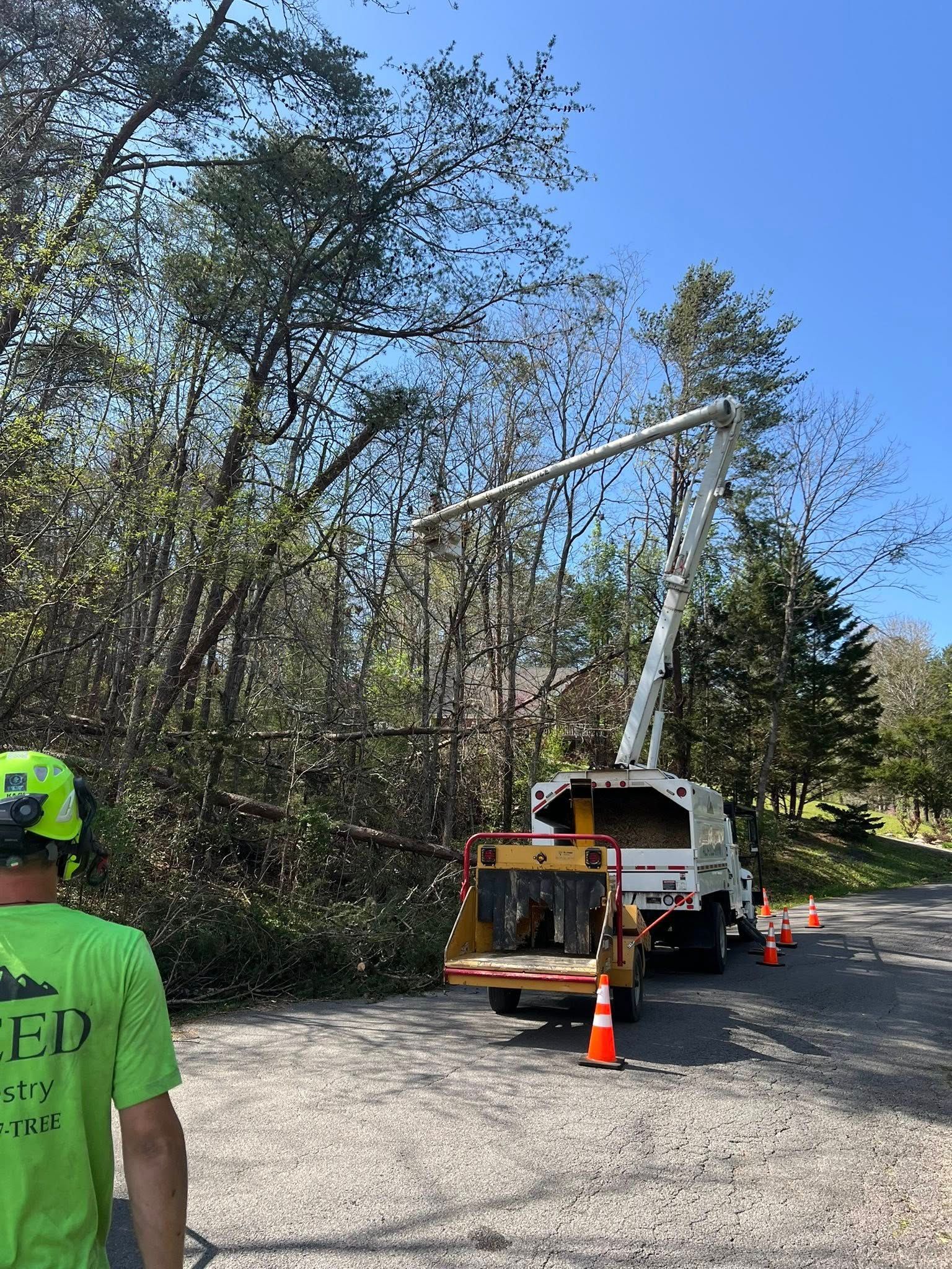 A worker in a bright green shirt watches a tree service truck with an extended boom operating near trees on a gravel path.