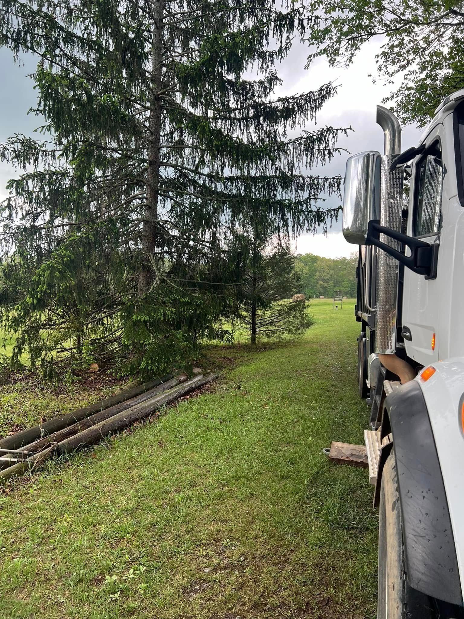 A white semi-truck parked on grass next to a large evergreen tree and some wooden logs in a field under a cloudy sky.