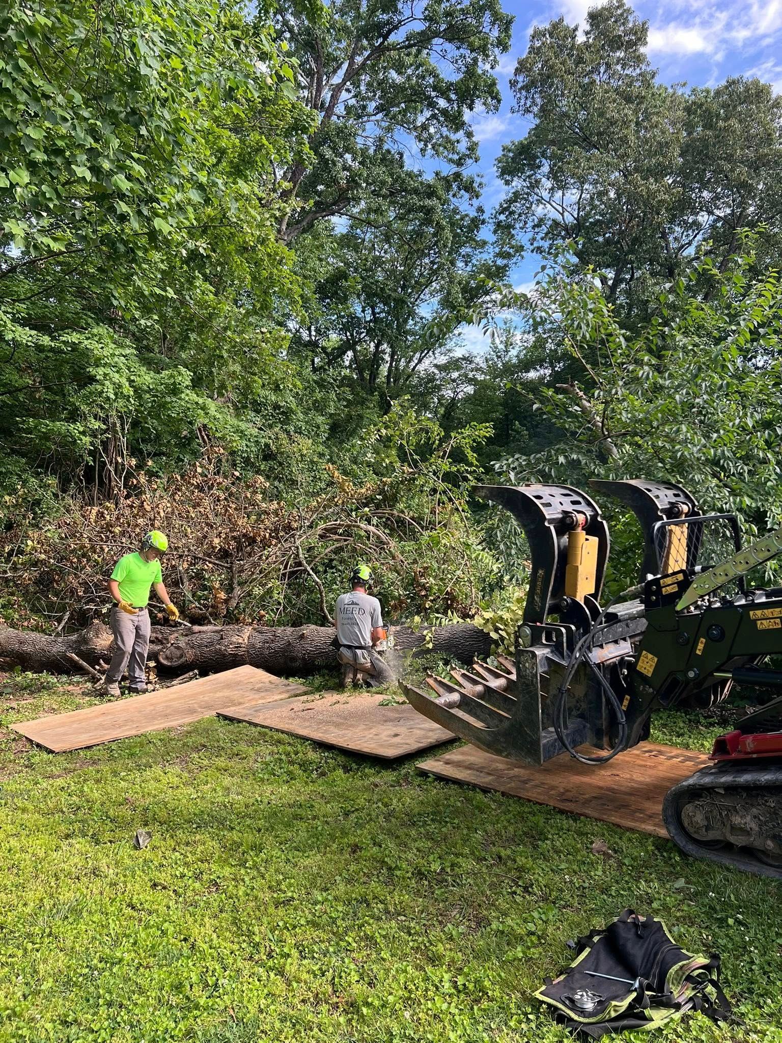 Two workers near a tree-clearing machine on a grassy area, using wooden panels to protect the ground.
