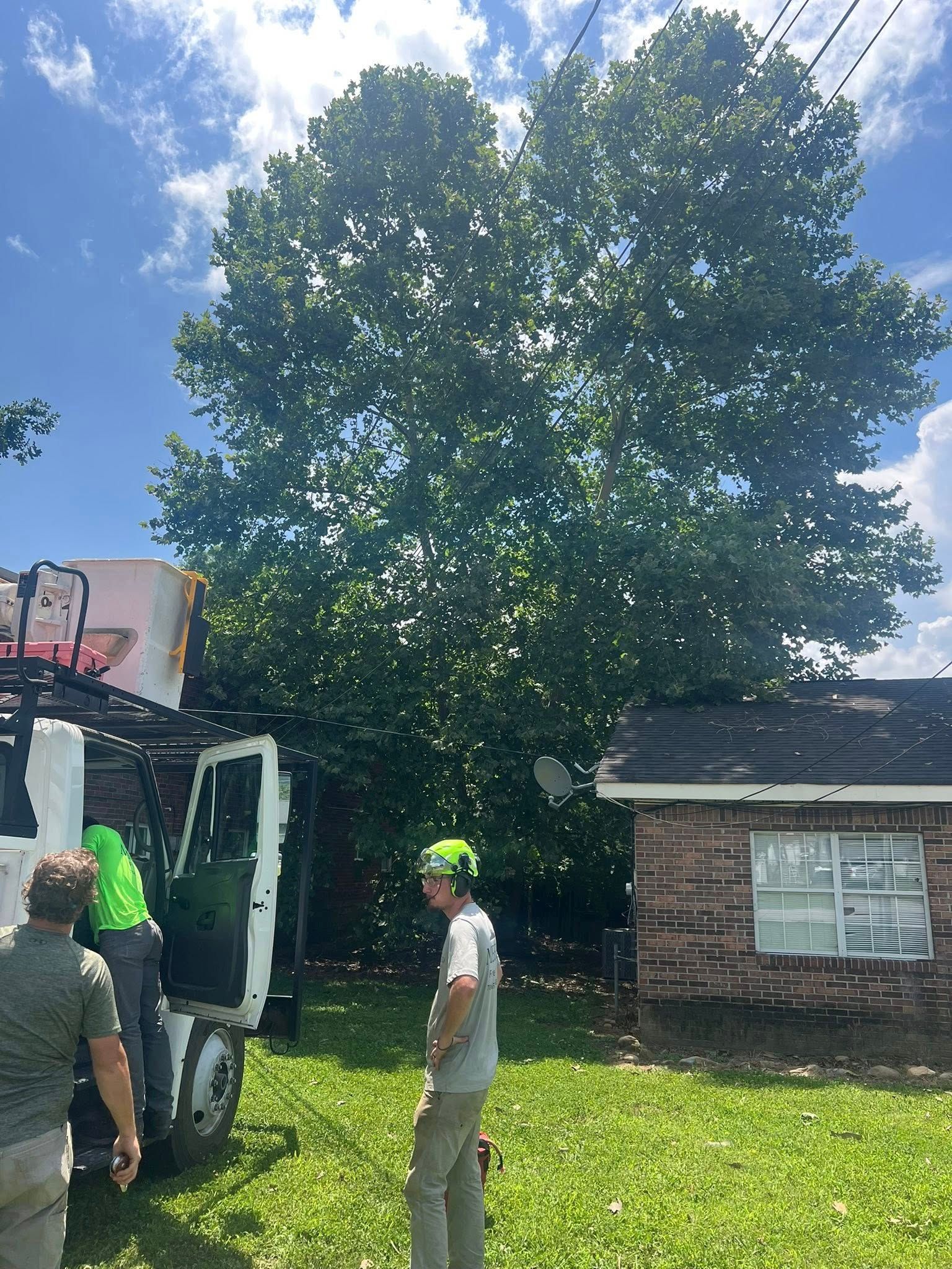 Three people work near a utility truck and a house, with a large, leafy tree looming in the background.