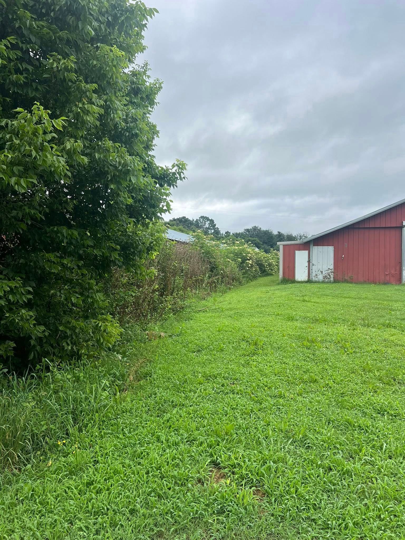 A lush green field with a large tree on the left, leading toward a red barn under a cloudy sky.