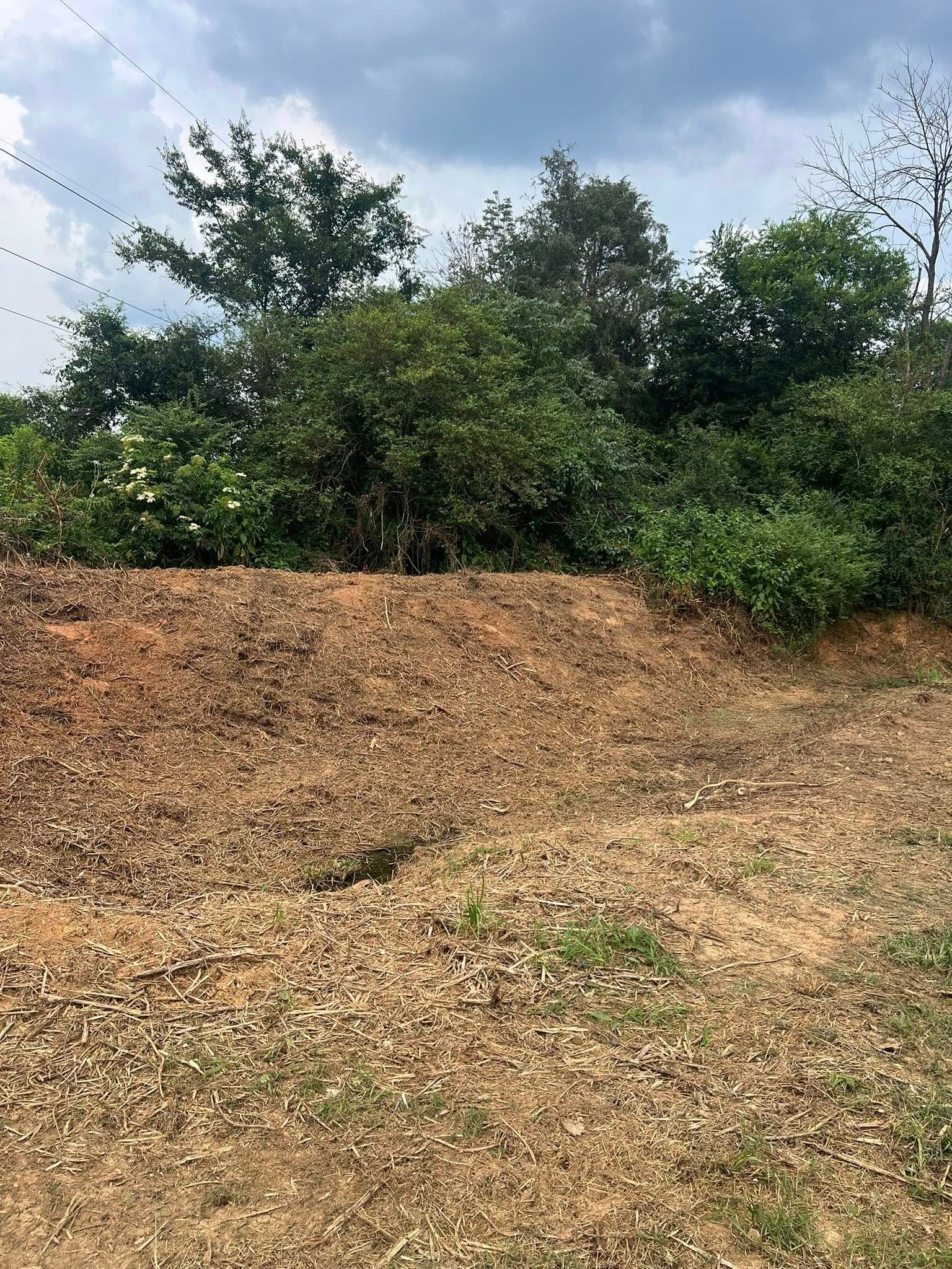 A slightly elevated dirt mound covered in dry leaves and weeds, set against a backdrop of dense green trees and a cloudy sky.