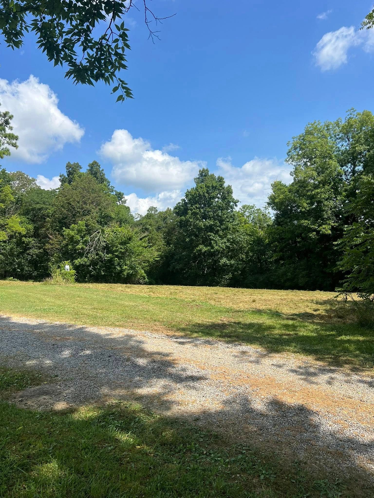 A gravel driveway leading into a grassy, sunny field bordered by a dense forest under a bright blue, cloudy sky.