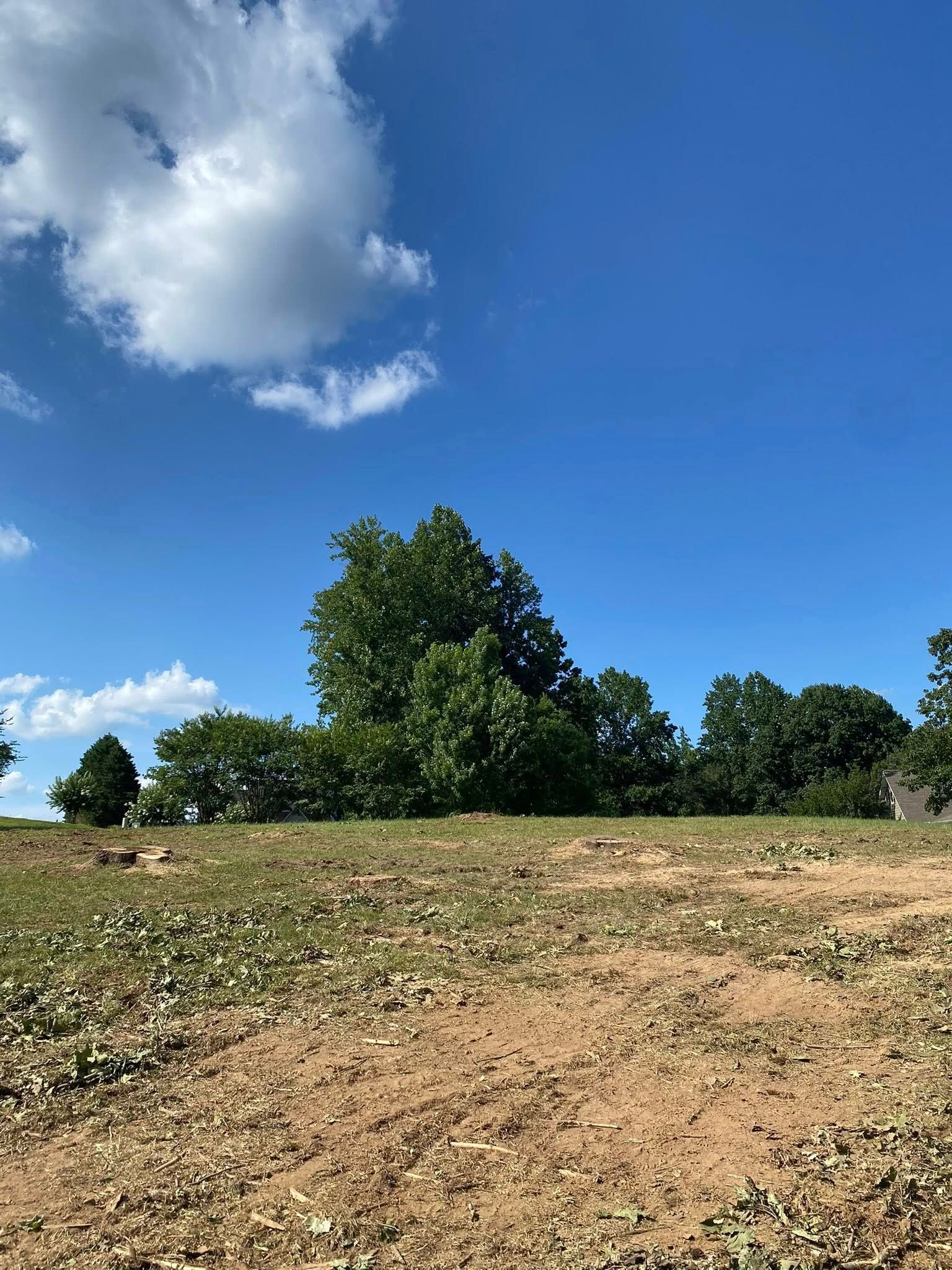 A vibrant blue sky with scattered clouds above a field of dry, harvested earth and a cluster of green trees.