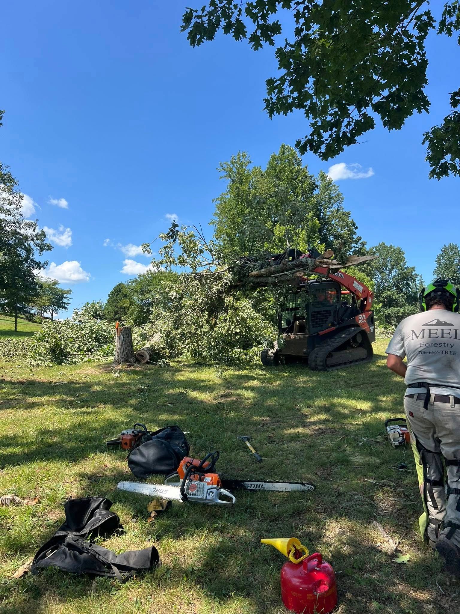 A person in work gear stands near chainsaws and equipment in a field, with a forestry tractor moving tree limbs nearby.