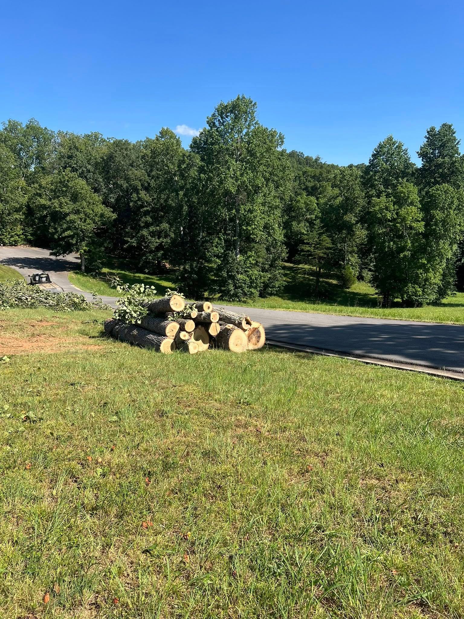 A pile of cut wooden logs sits on a grassy lawn next to a paved road, in front of a dense green forest under a blue sky.