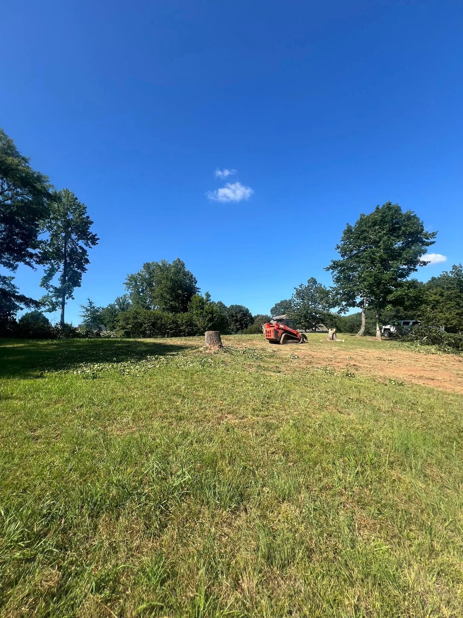 A red tractor works in a field with cleared brush and scattered trees under a bright blue sky.