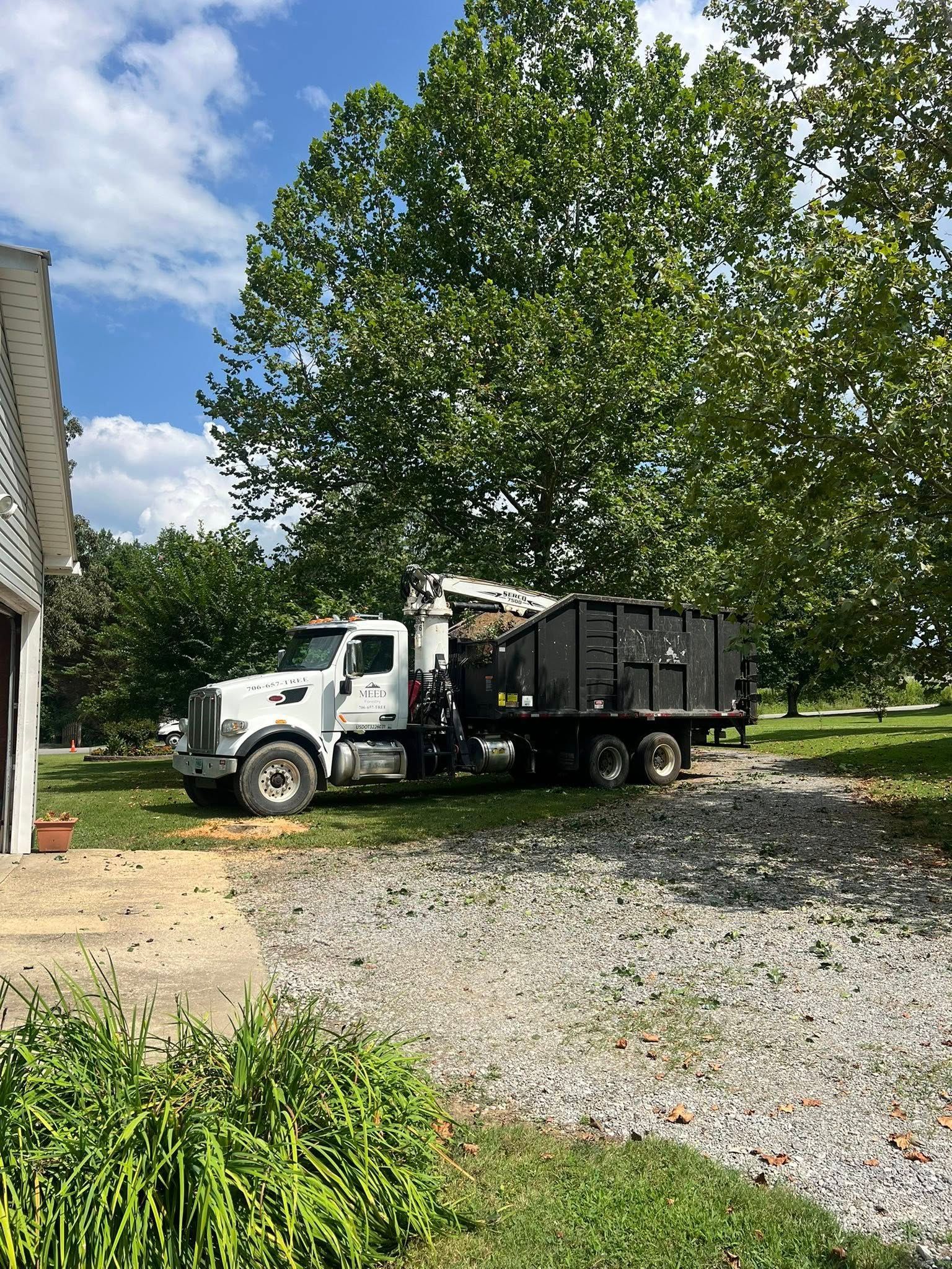A white roll-off dumpster truck parked on a grass lawn next to a gravel driveway under large trees.