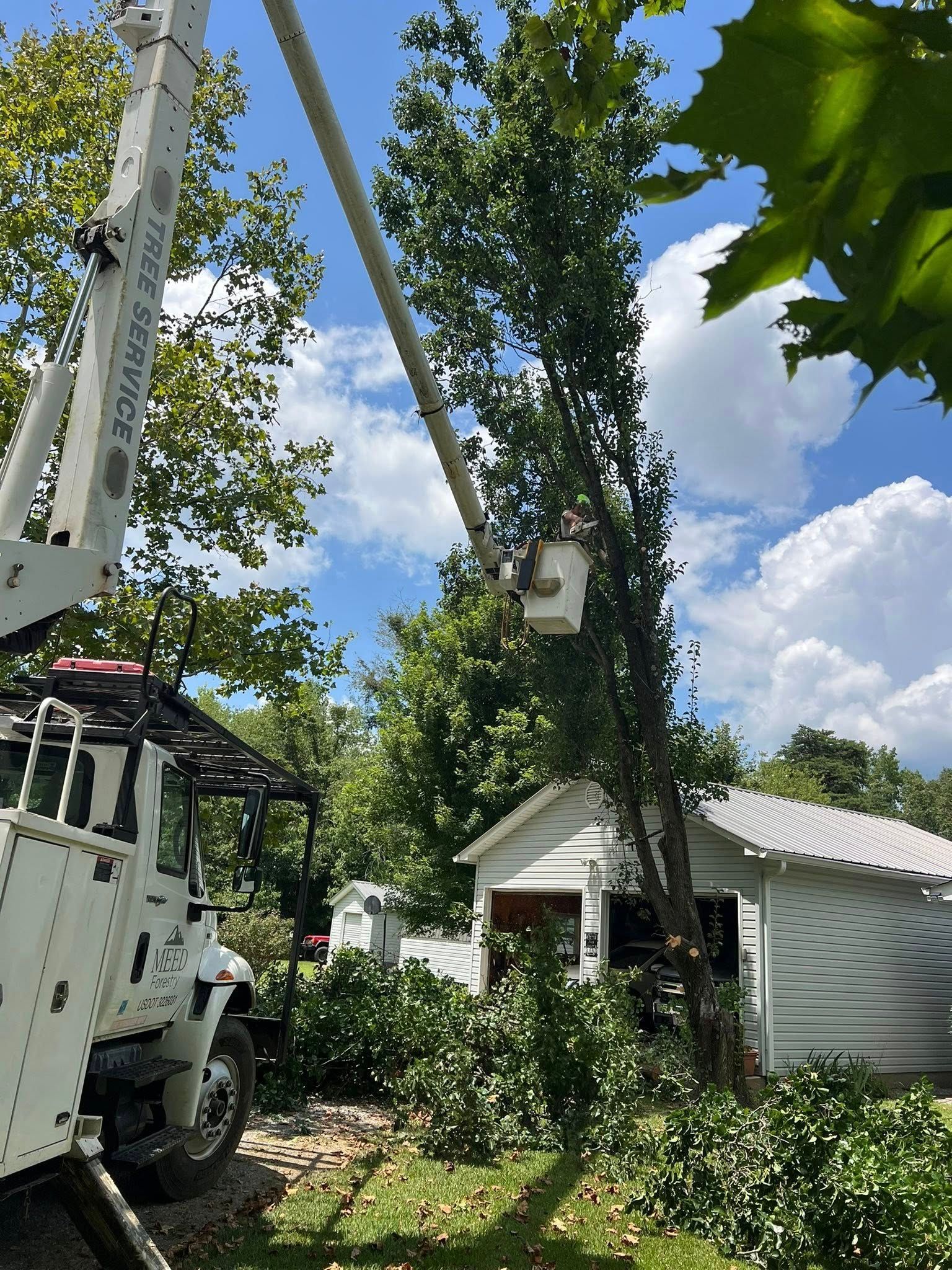 A white utility truck with an extended bucket lift reaching toward a tree next to a small house on a sunny day.