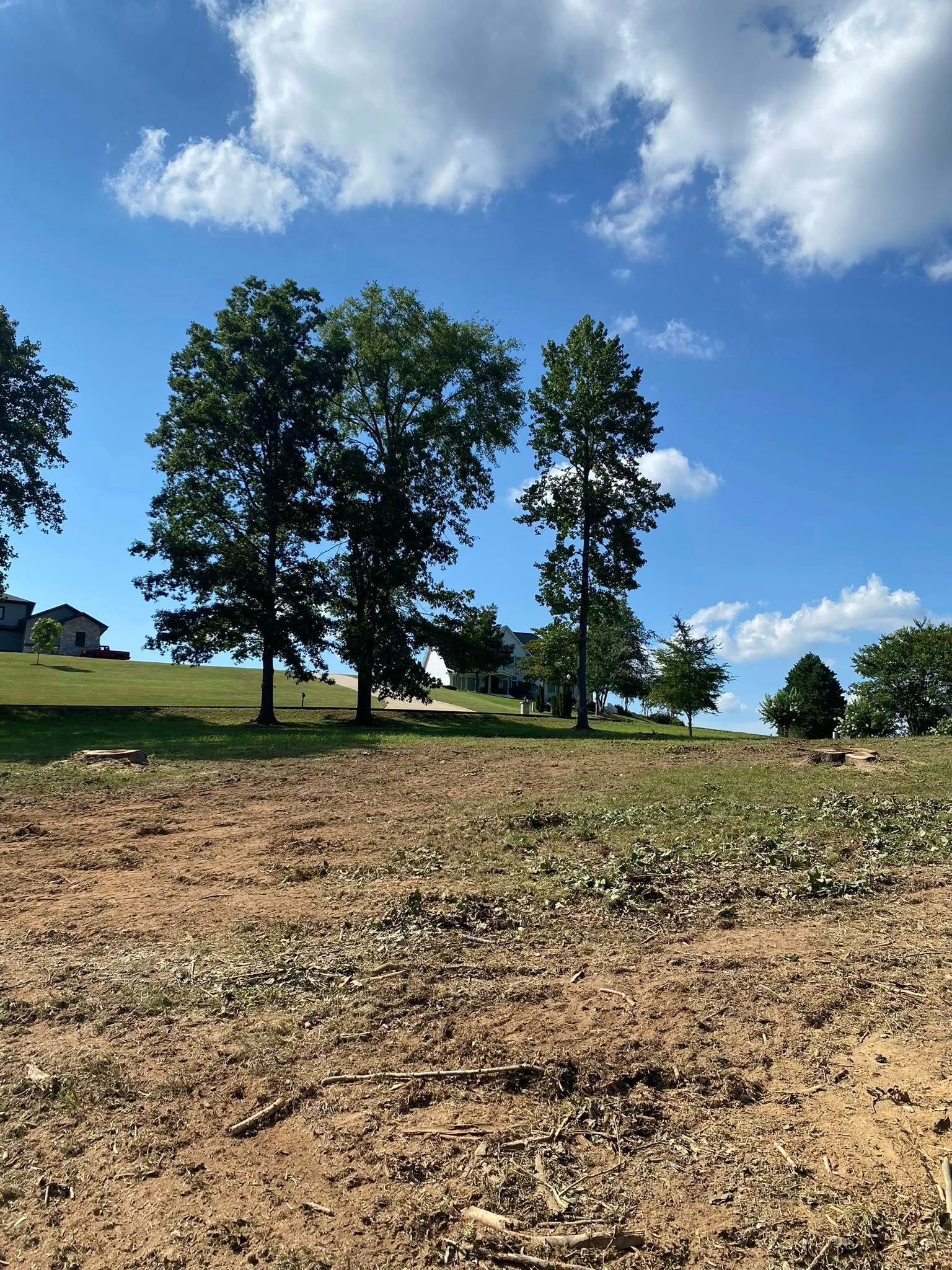 A cleared, dirt-covered lot in the foreground leads up to a grassy hill with several large, leafy trees under a blue sky.