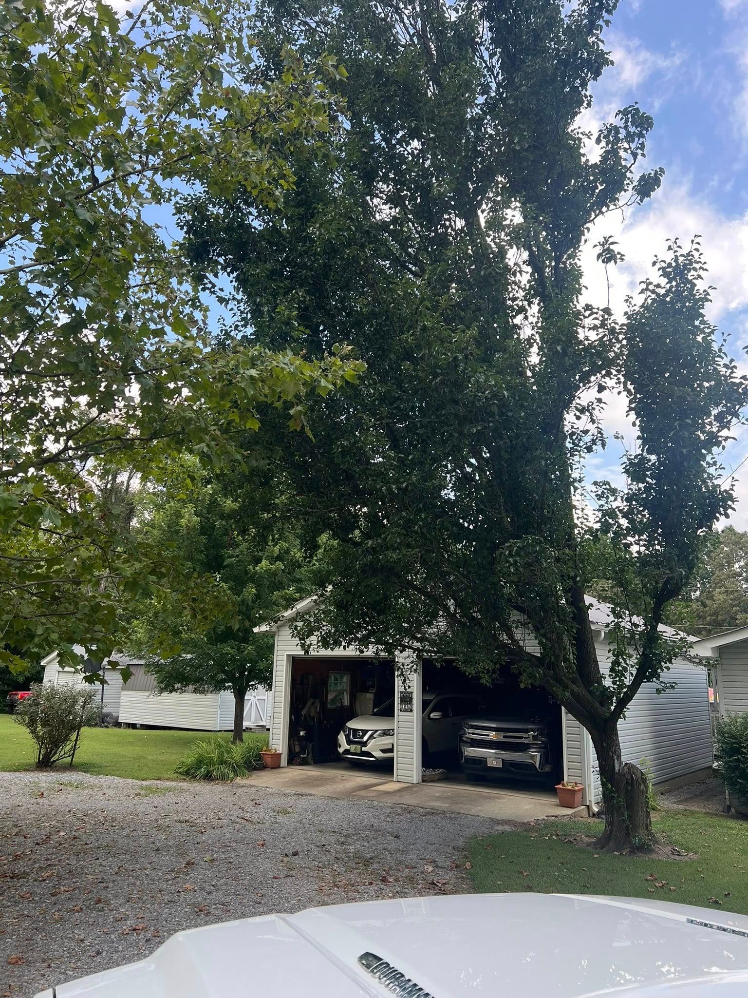 A gravel driveway leads to a white garage with two cars parked inside, partially shaded by large green trees.
