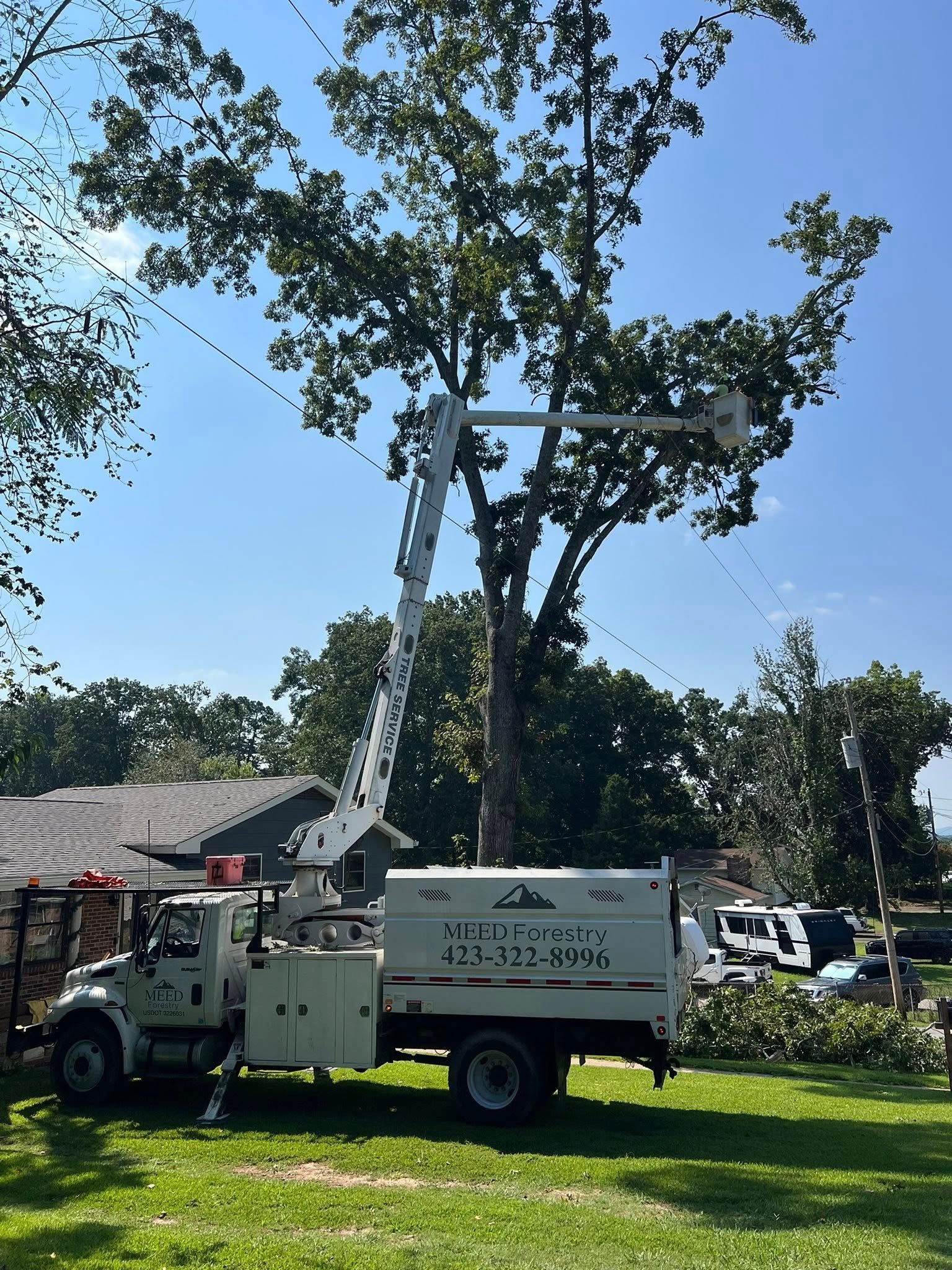 A white utility truck with an extended boom bucket parked on a grassy lawn, reaching into a large tree for trimming.