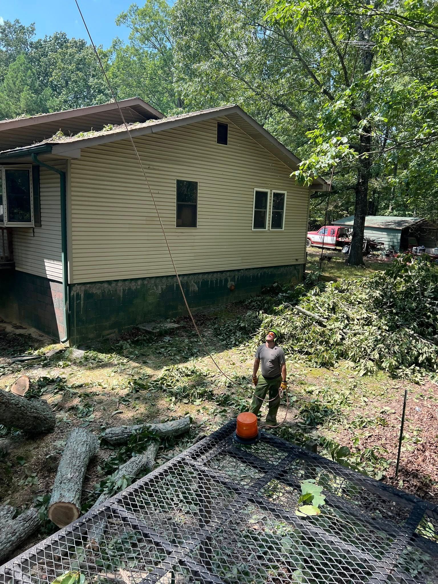 A person stands in a yard filled with cut tree branches next to a house with beige siding and a dark foundation.