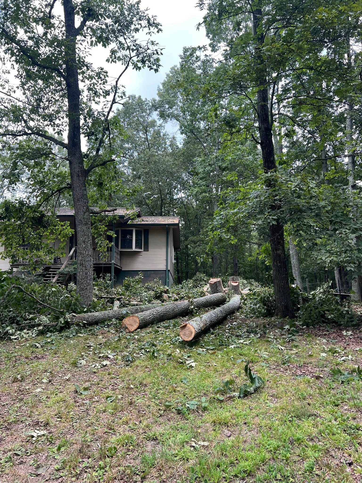 A house in a wooded area with several felled tree trunks lying on the ground in the foreground.