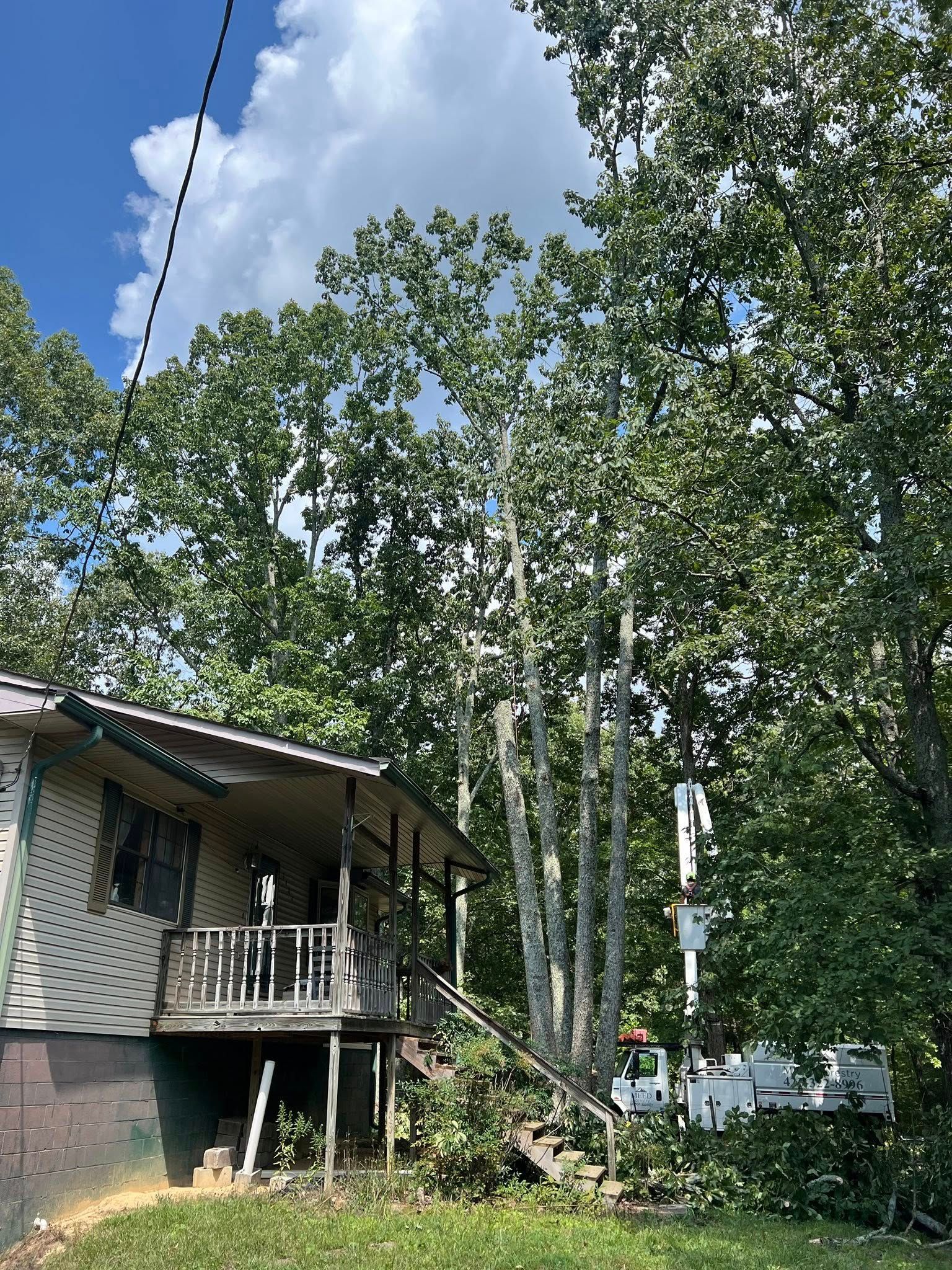 A tan house with a porch and steps sits near a utility pole and tall green trees under a bright blue sky.