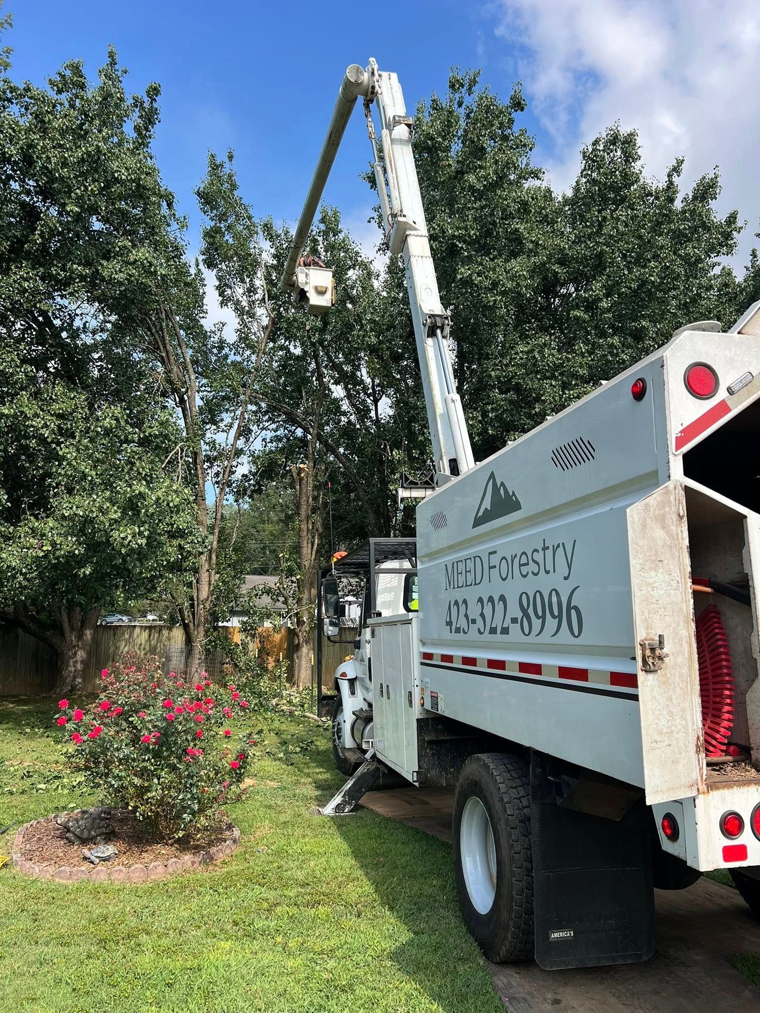 A white utility truck with a raised bucket arm positioned in front of green trees on a sunny day.