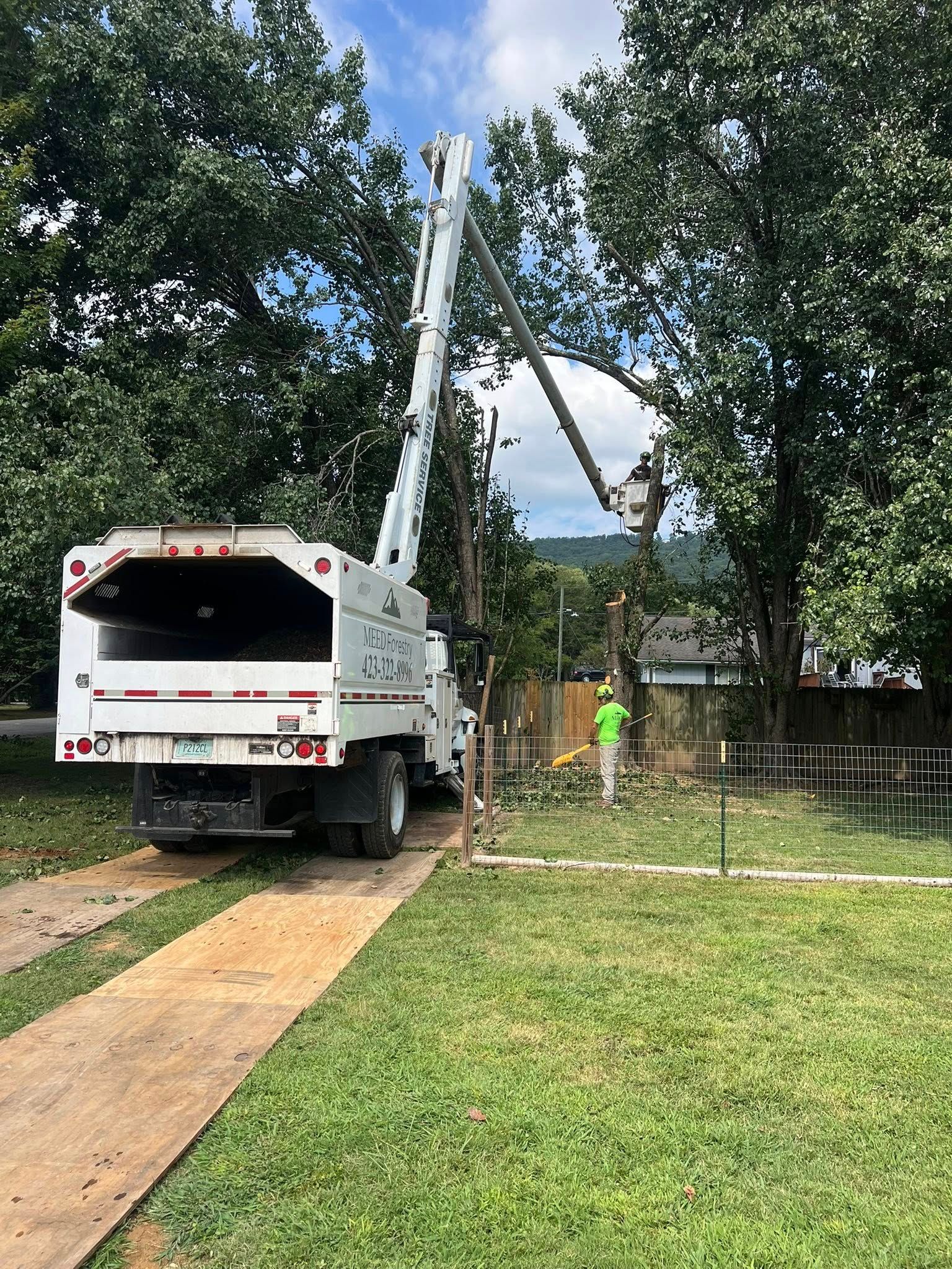 A utility truck with an extended boom and bucket is parked on plywood sheets, lifting a worker to trim tree branches.