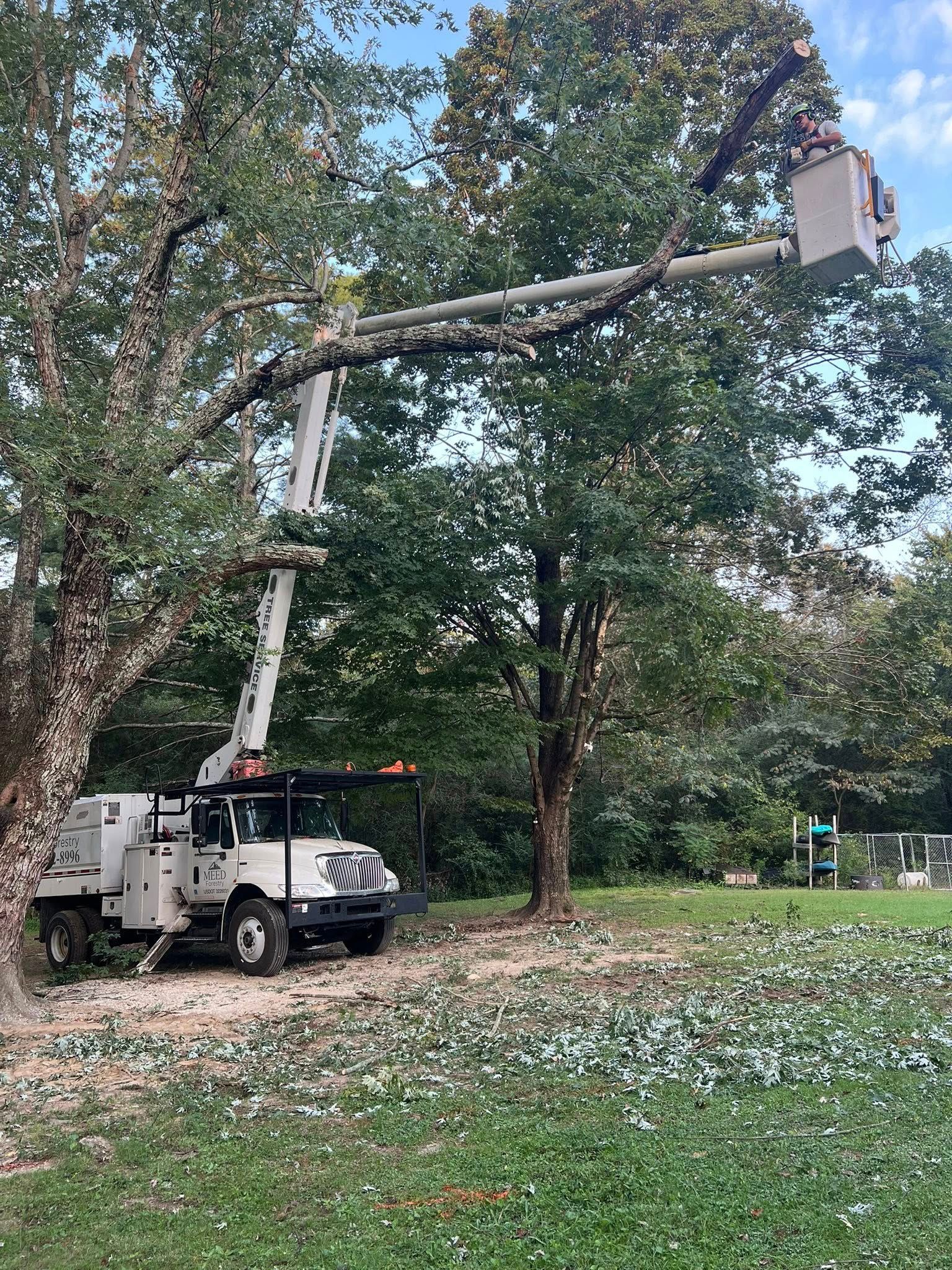 A white utility truck with an extended boom bucket parked in a yard as a worker trims branches from a large tree.