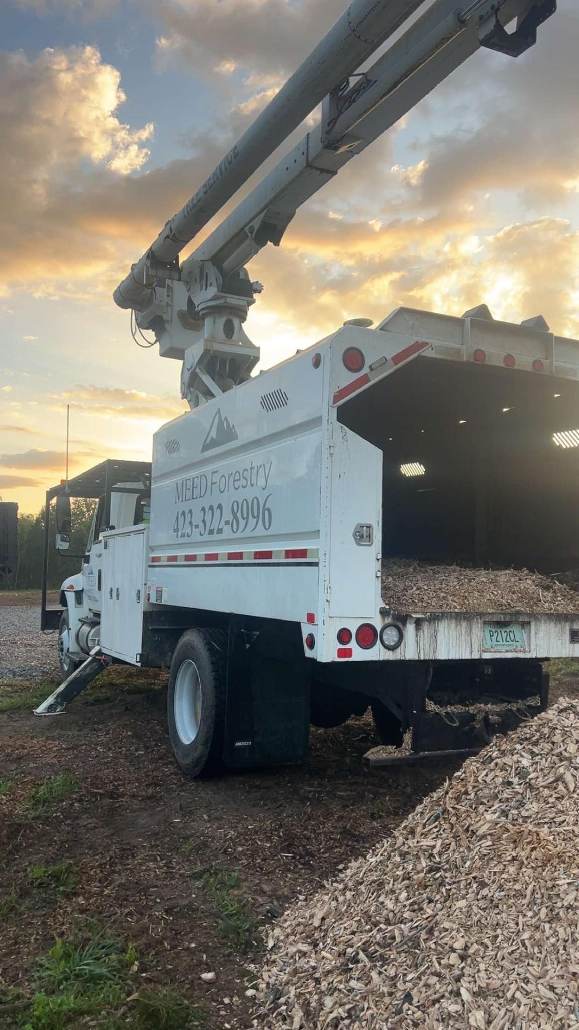 A white tree service chip truck with an extended boom sits parked on a gravel lot at sunset, loaded with wood chips.