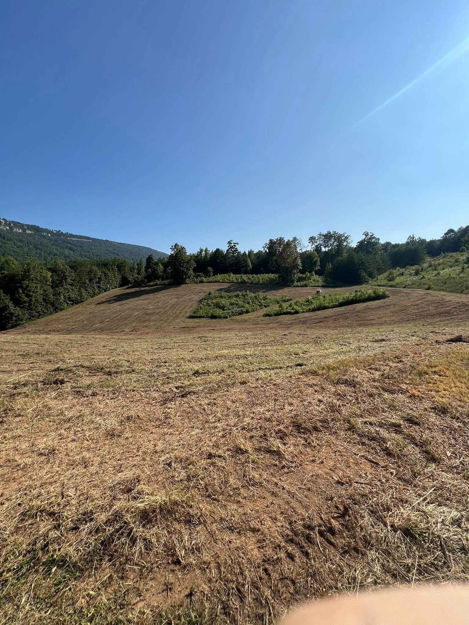 A grassy hillside slopes up toward a line of trees under a clear, bright blue sky.