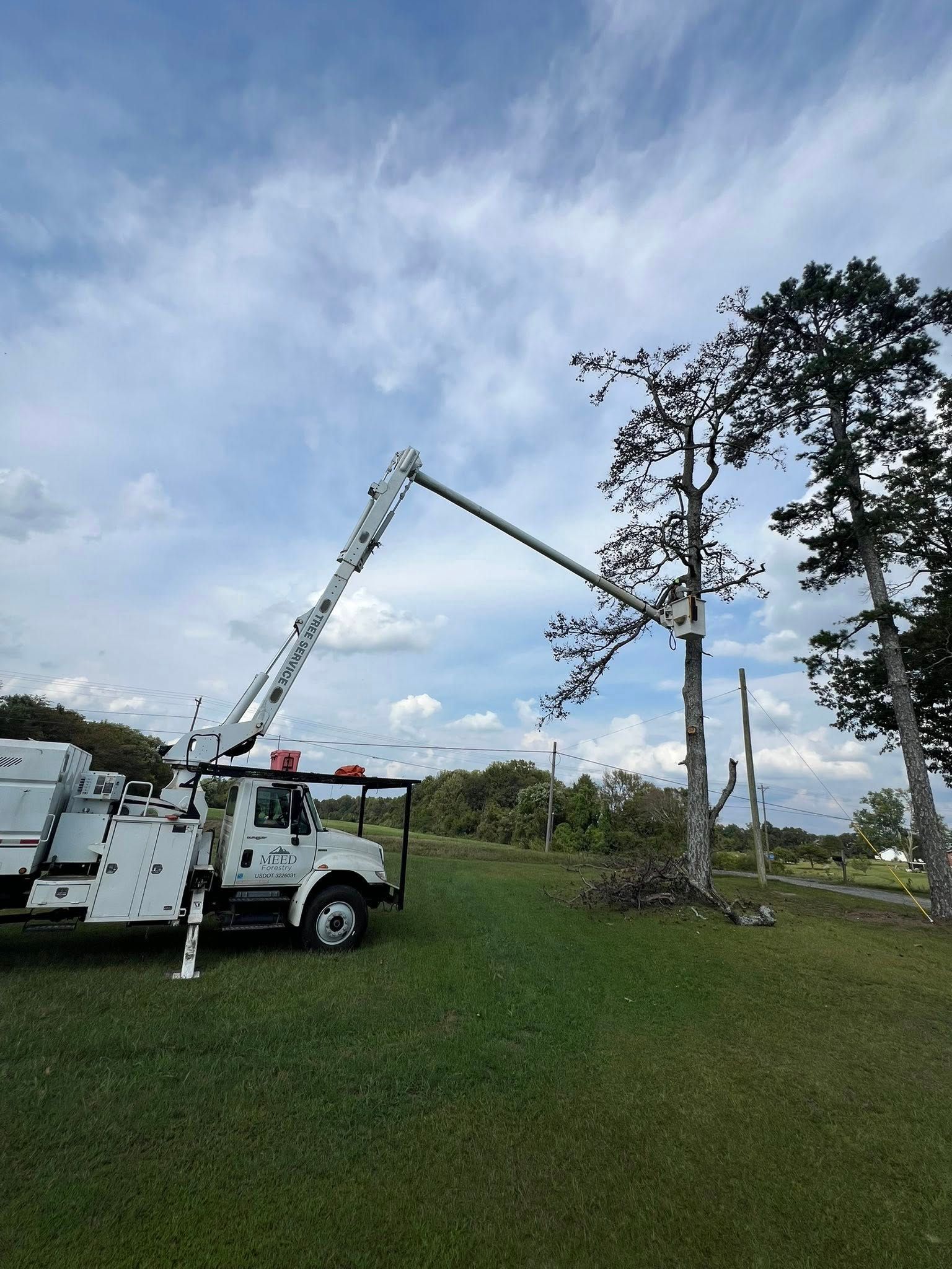A white utility truck with an extended crane arm lifts a worker to trim branches from a tall tree in a grassy field.