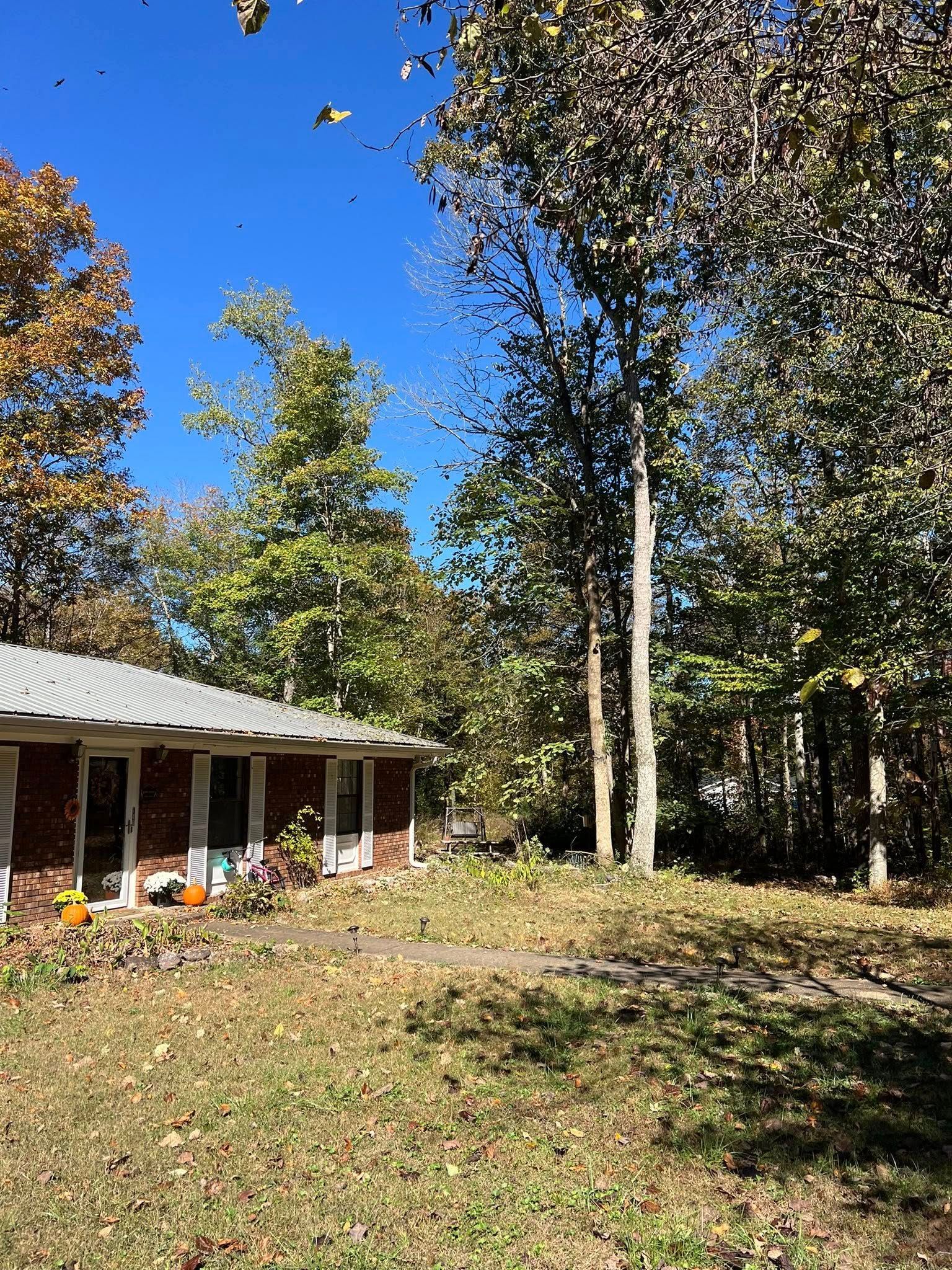 A brick house with a metal roof surrounded by autumn trees under a bright blue sky.