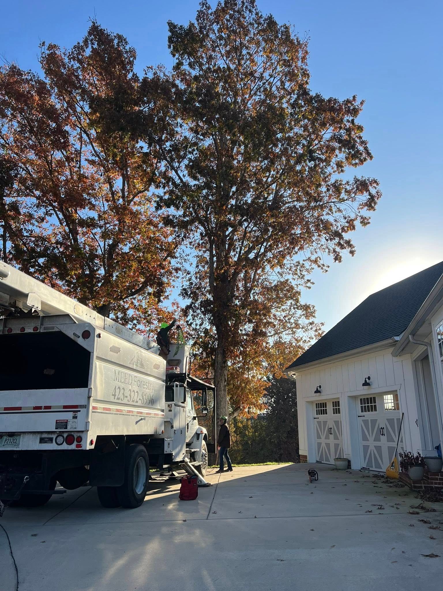 A utility truck with an elevated bucket arm parked near a large, autumn-leafed tree next to a white garage.