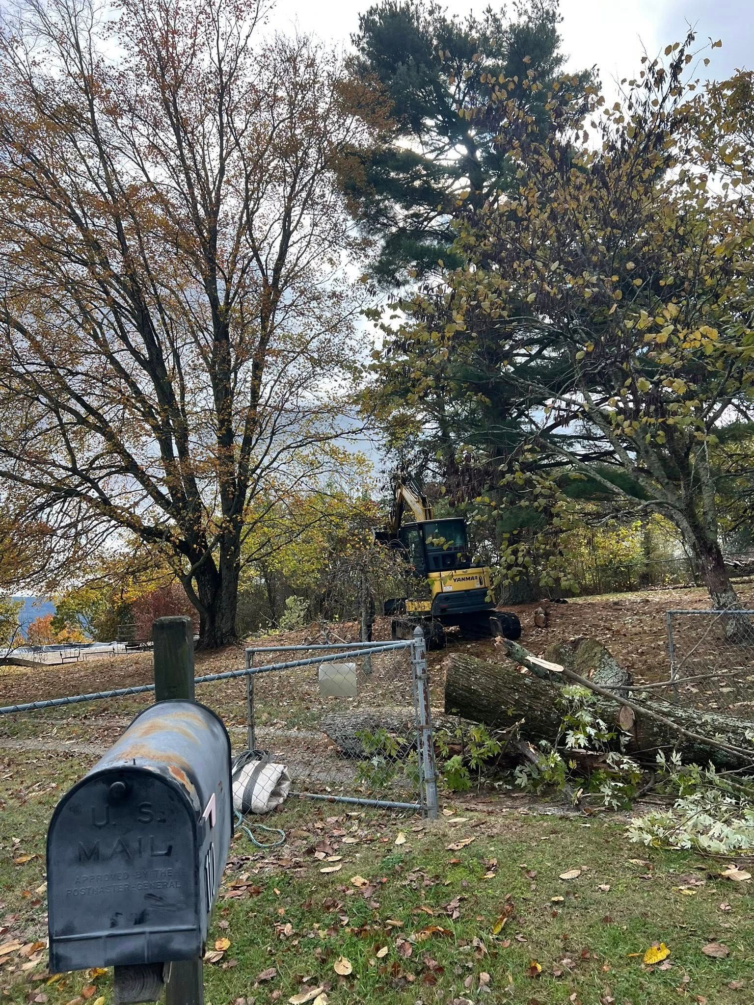 A yellow excavator works in a yard near a metal mailbox and a downed tree, set against a backdrop of autumn trees.