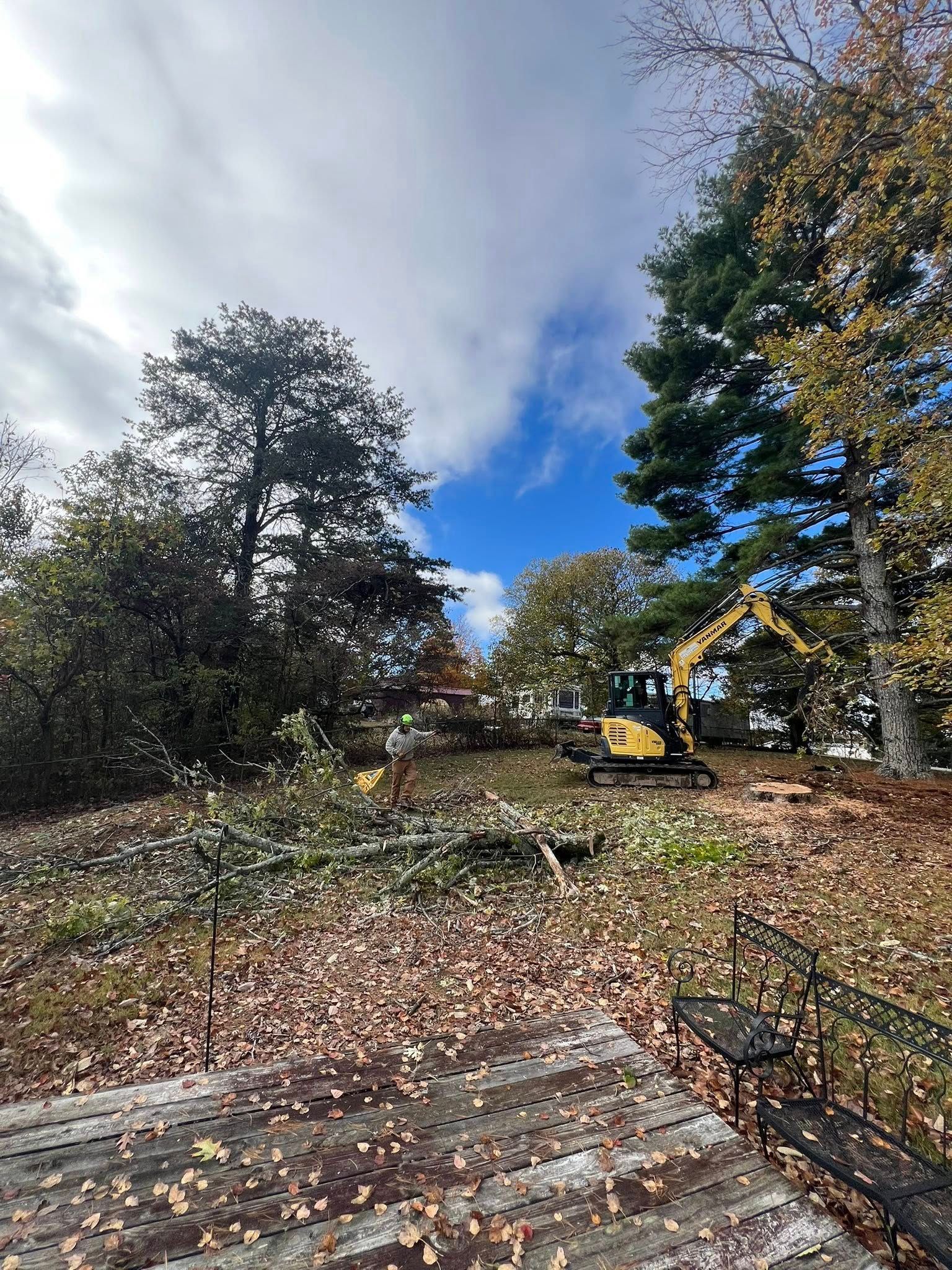 A yellow excavator operates in a grassy area surrounded by trees, with fallen branches in the foreground.